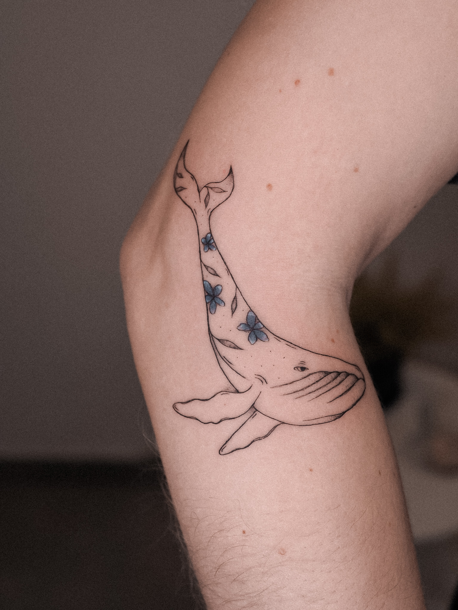 Slečna Anna ink foto 2