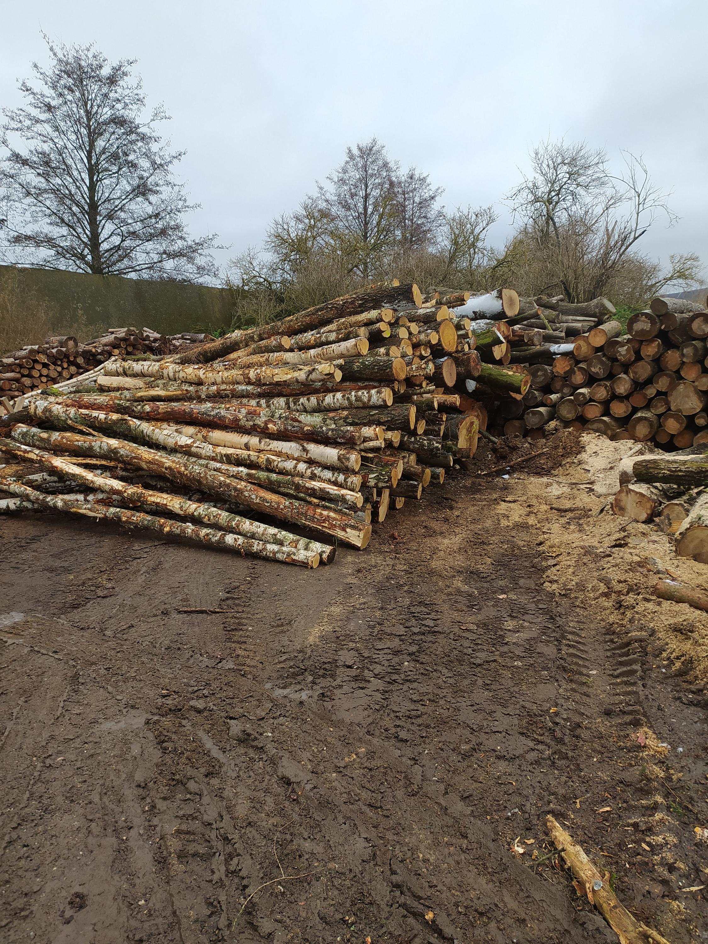 HaBr - Palivové dřevo Litoměřice foto 6