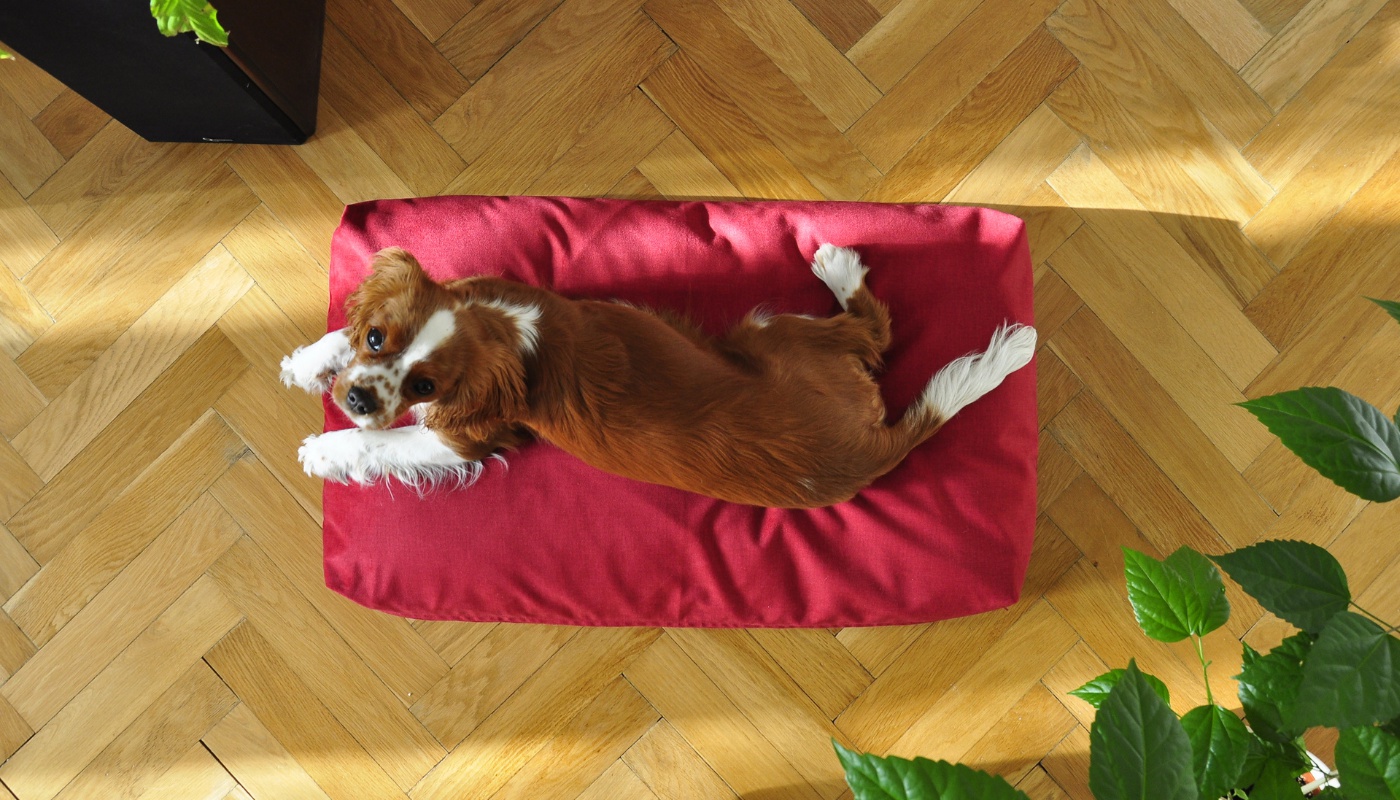 POŠITO foto 2