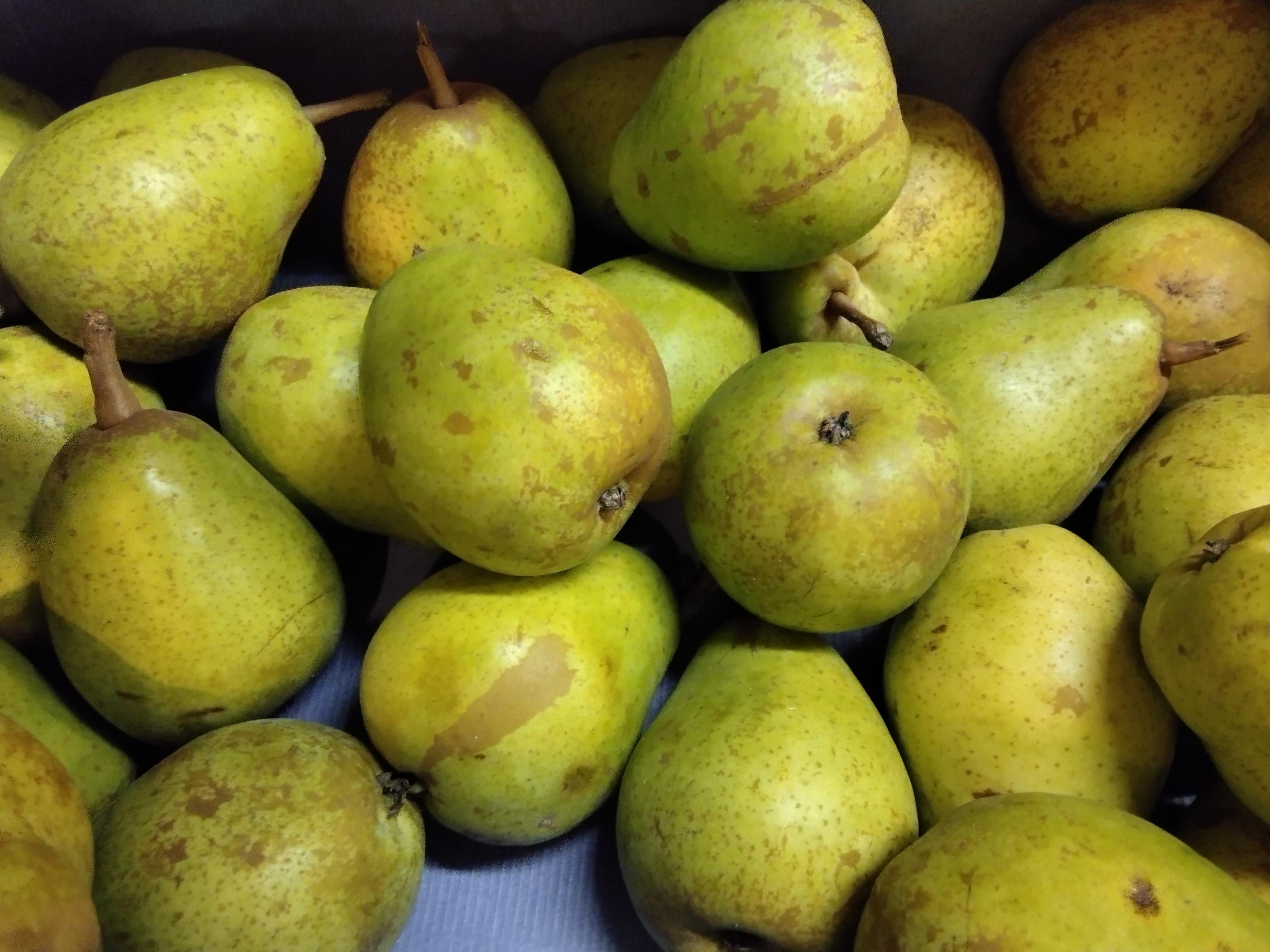 Zahrádkářské potřeby Kroměříž foto 6