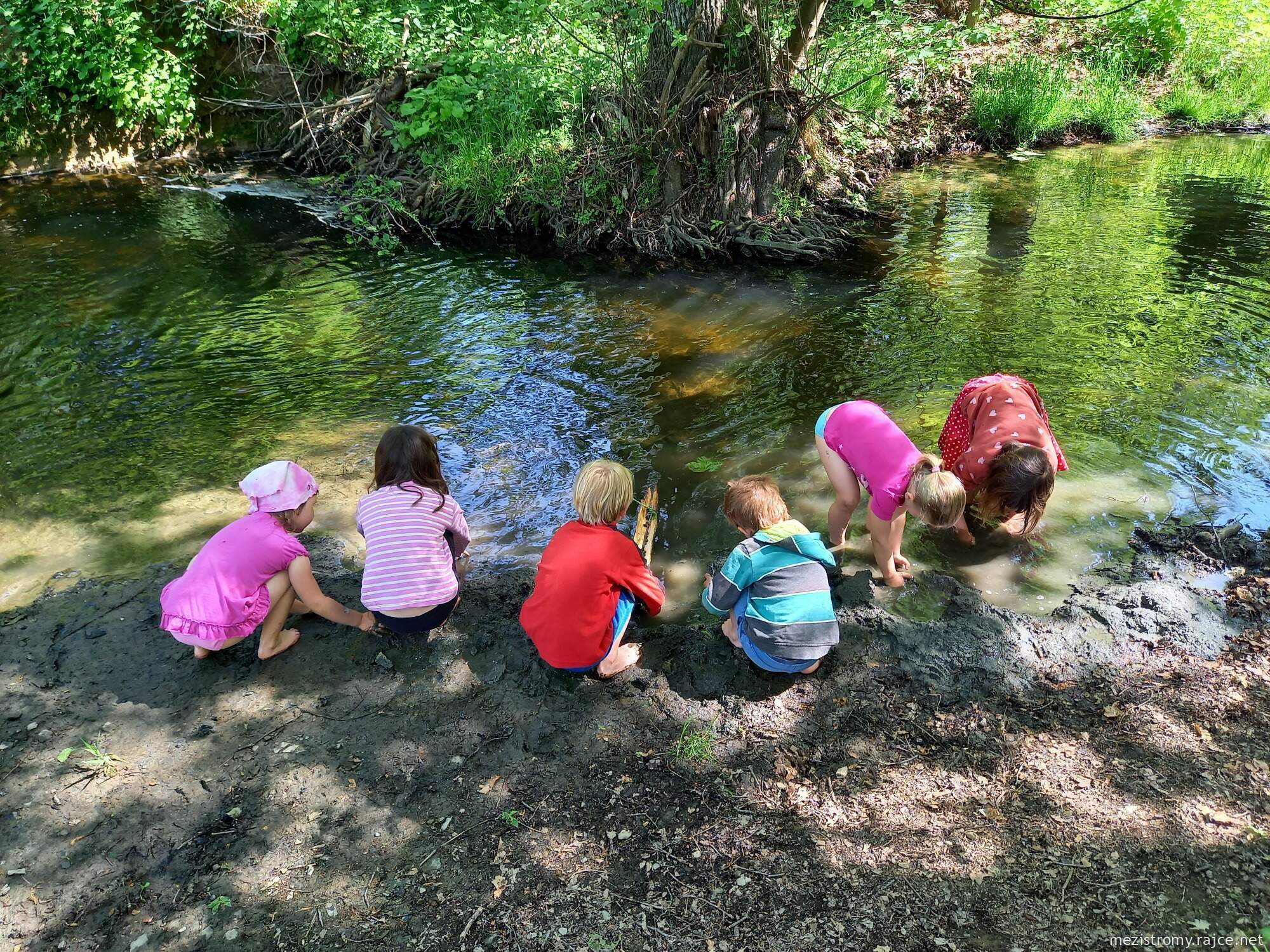 spolek zapsaný MEZI STROMY foto 3