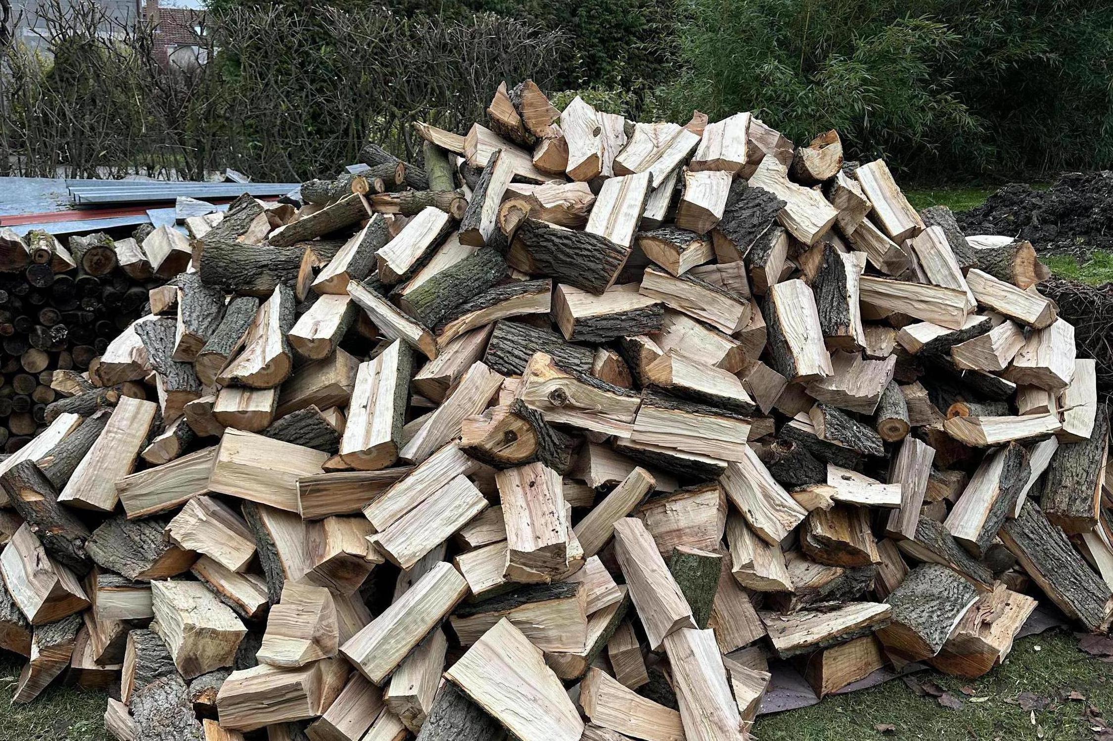 Palivové dříví Petr Skoumal