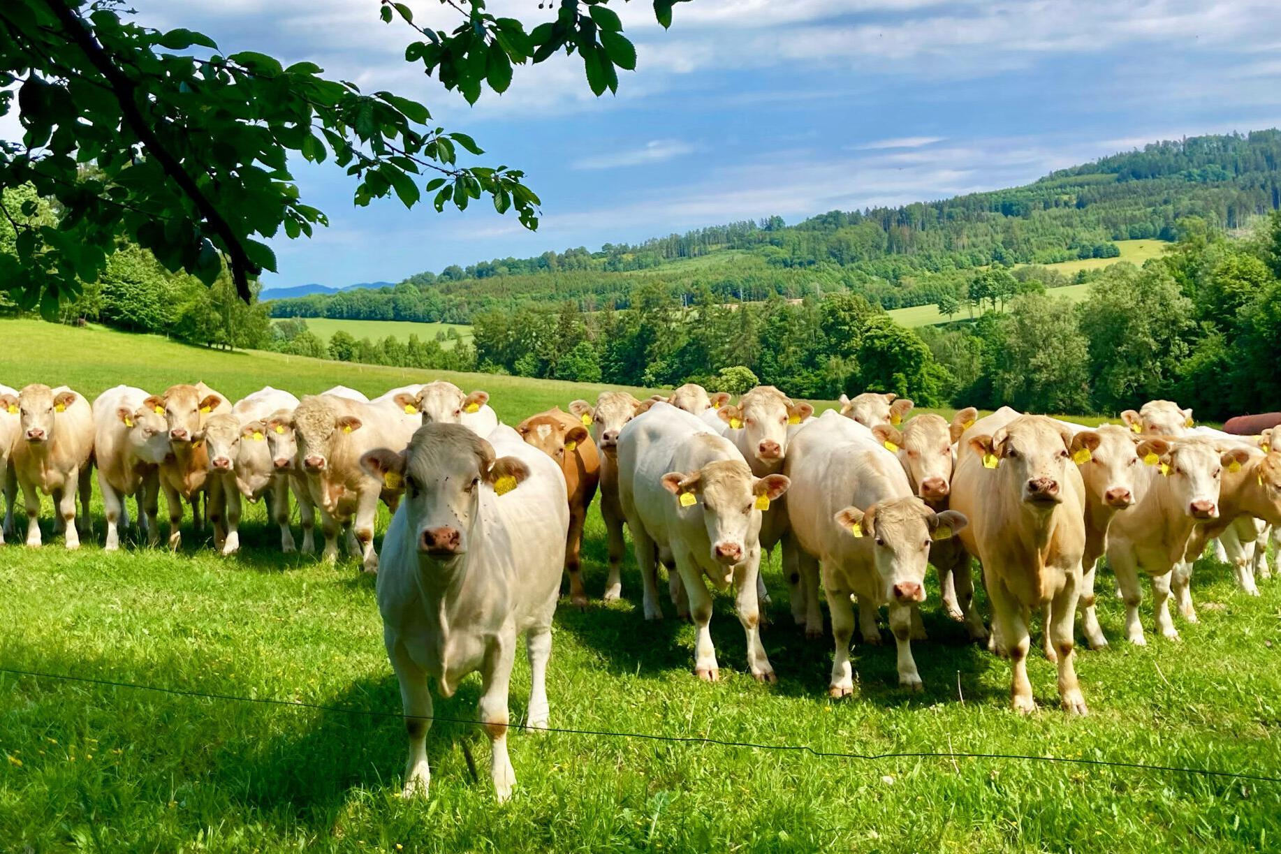 HRADO a.s. Hrabišín