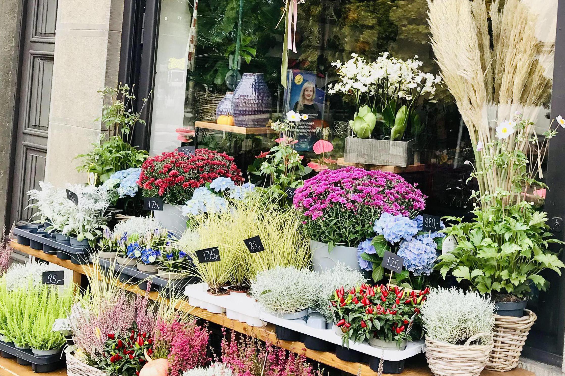 Květinářství GREEN WITCH