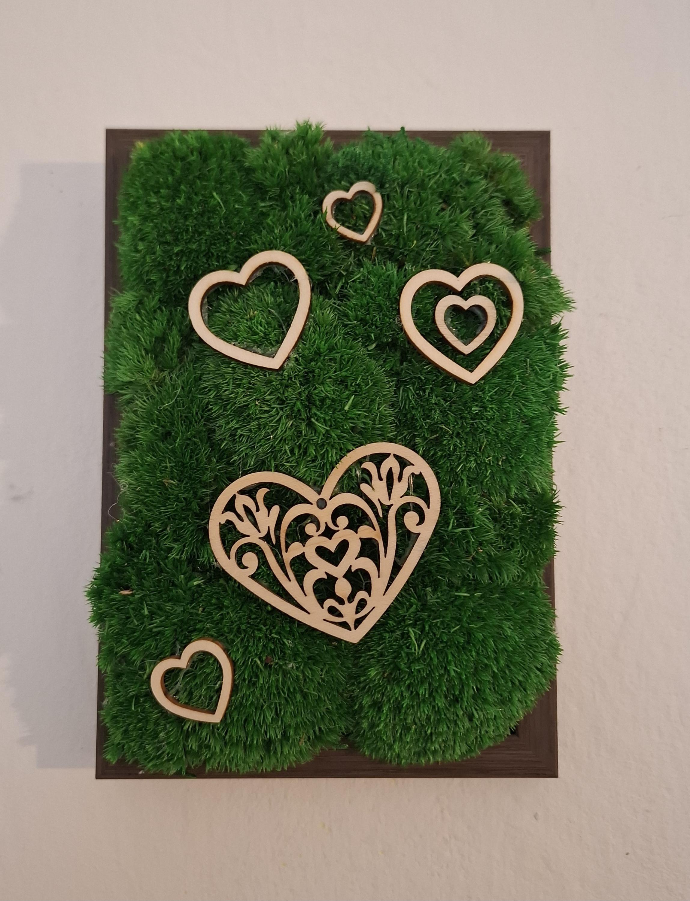 Mechové obrazy, obrazy akrylem - Bc. Olga Čeřovská foto 2