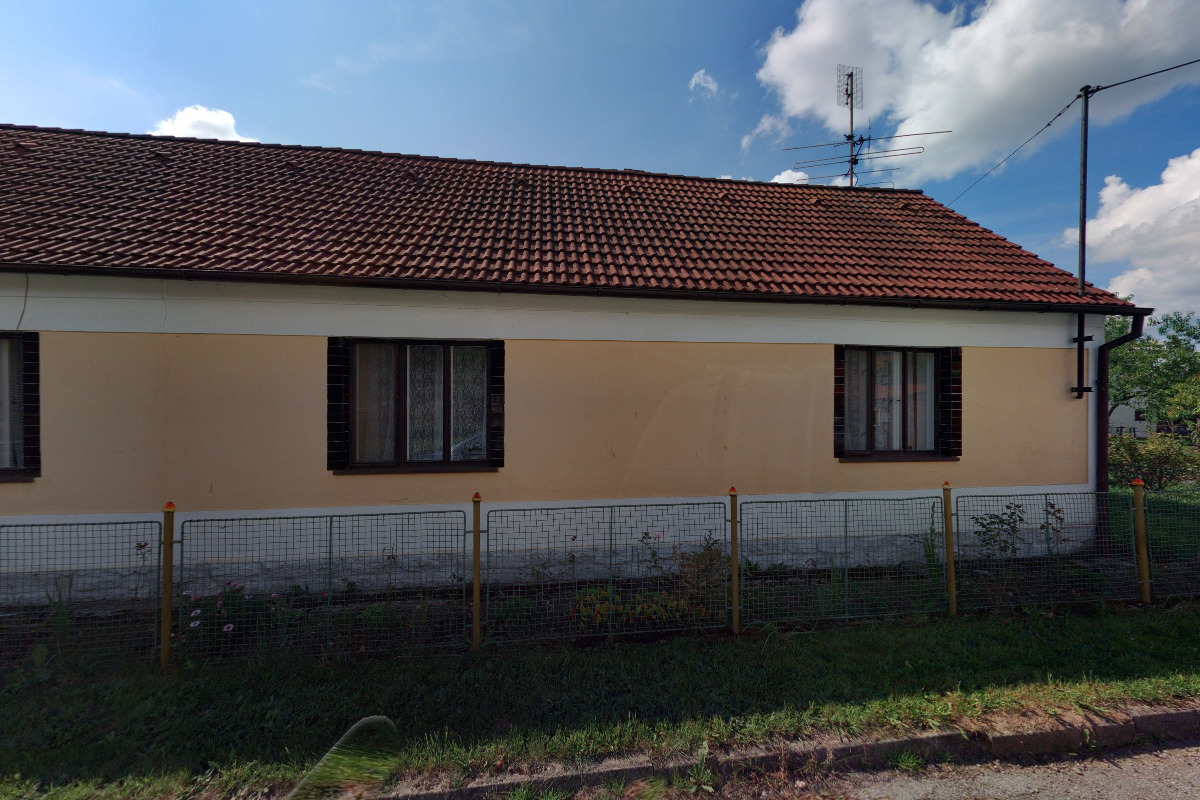 International Kennel Club