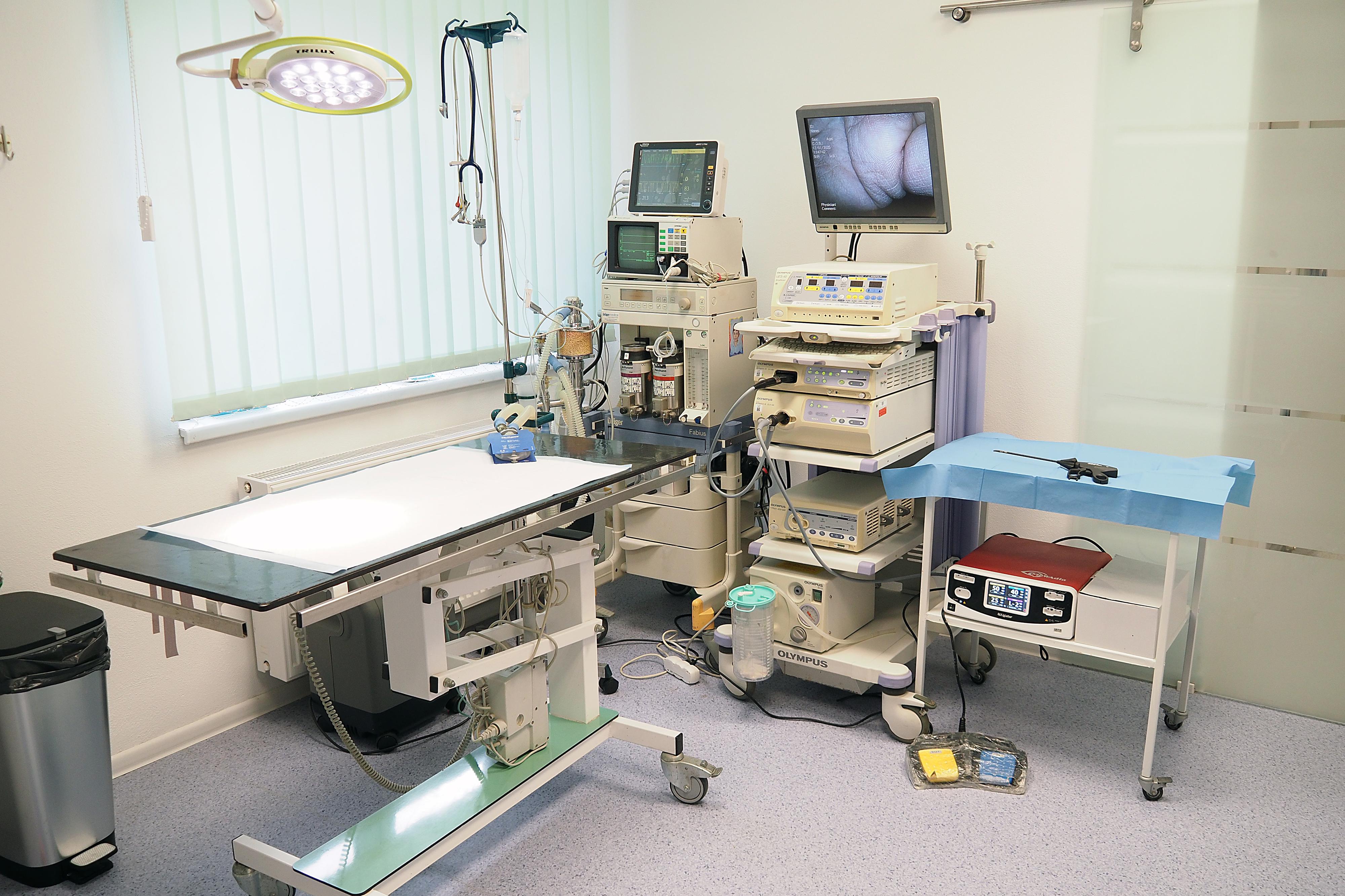 Veterinární ordinace Kdyně foto 3