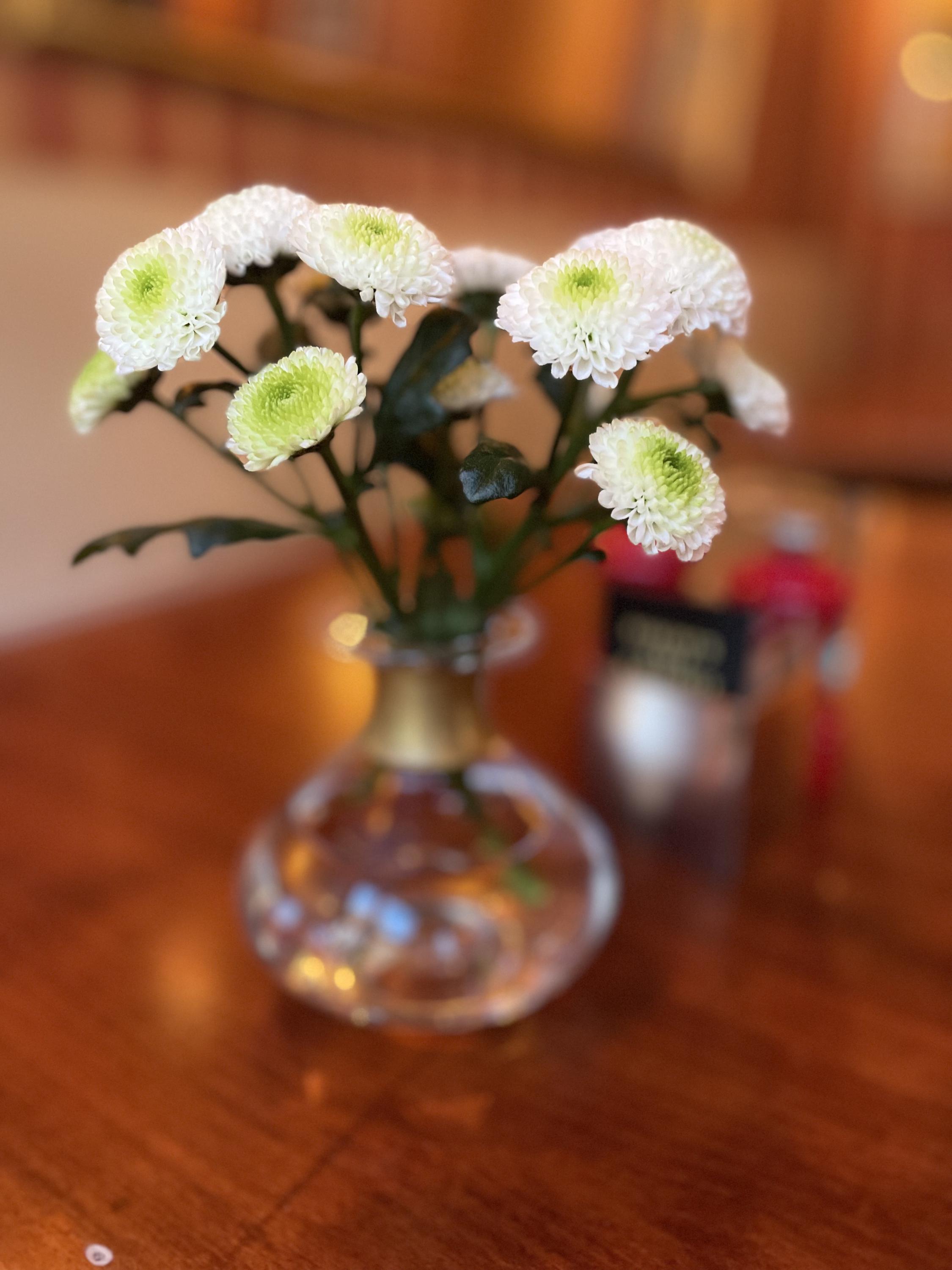 Robert's Café & Bistrot Monet