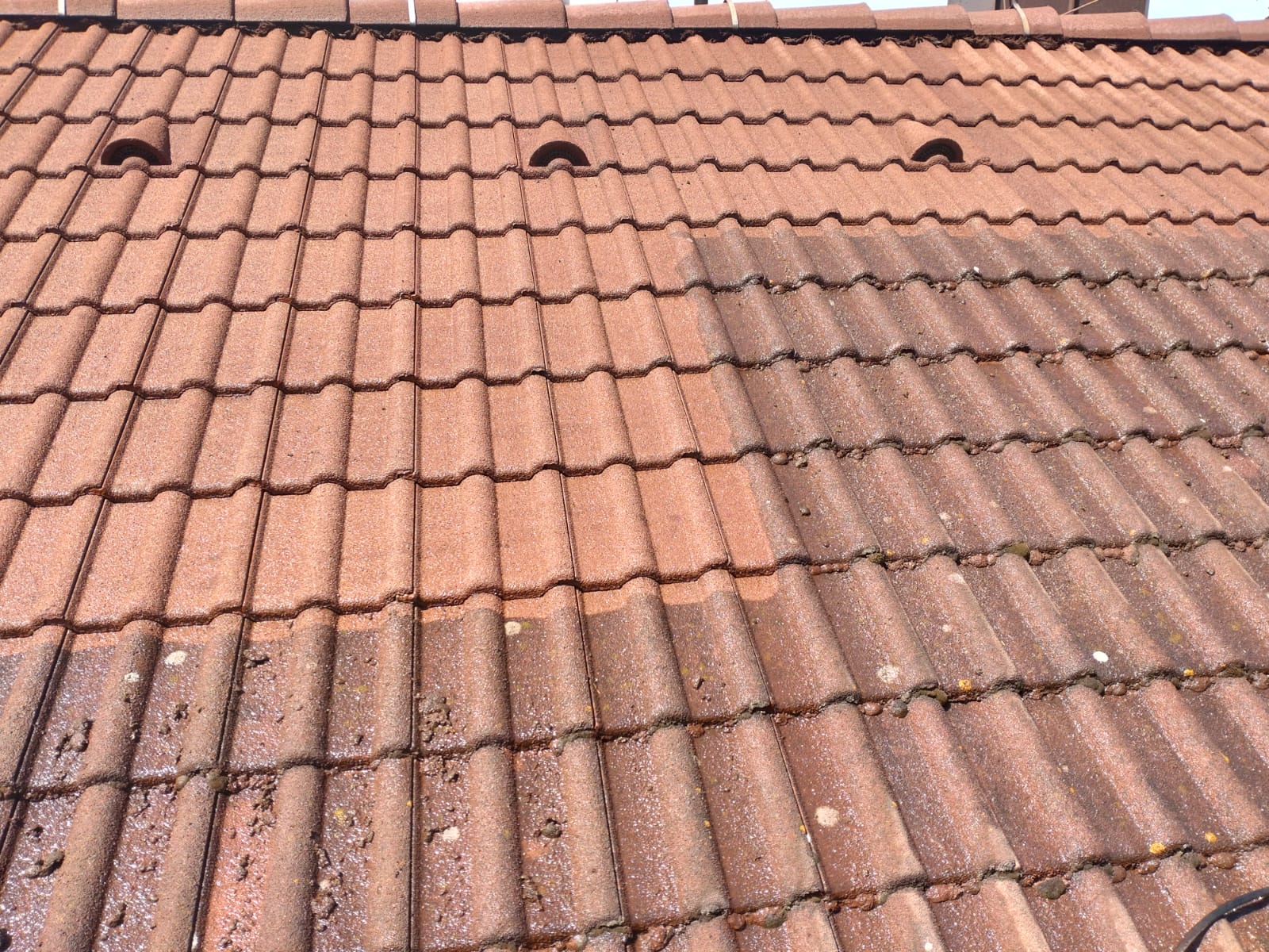Čištění fasád a nátěry - BAREVNE-FASADY.CZ foto 4