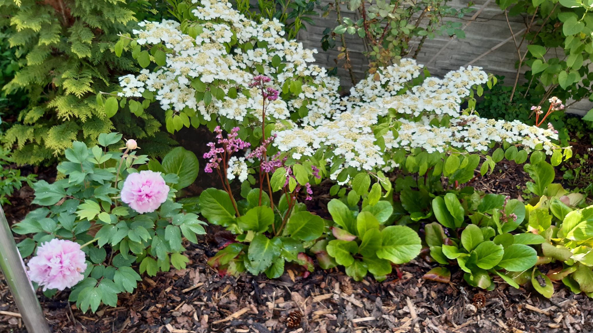 Tereza Gurková - zahradní architekt foto 2