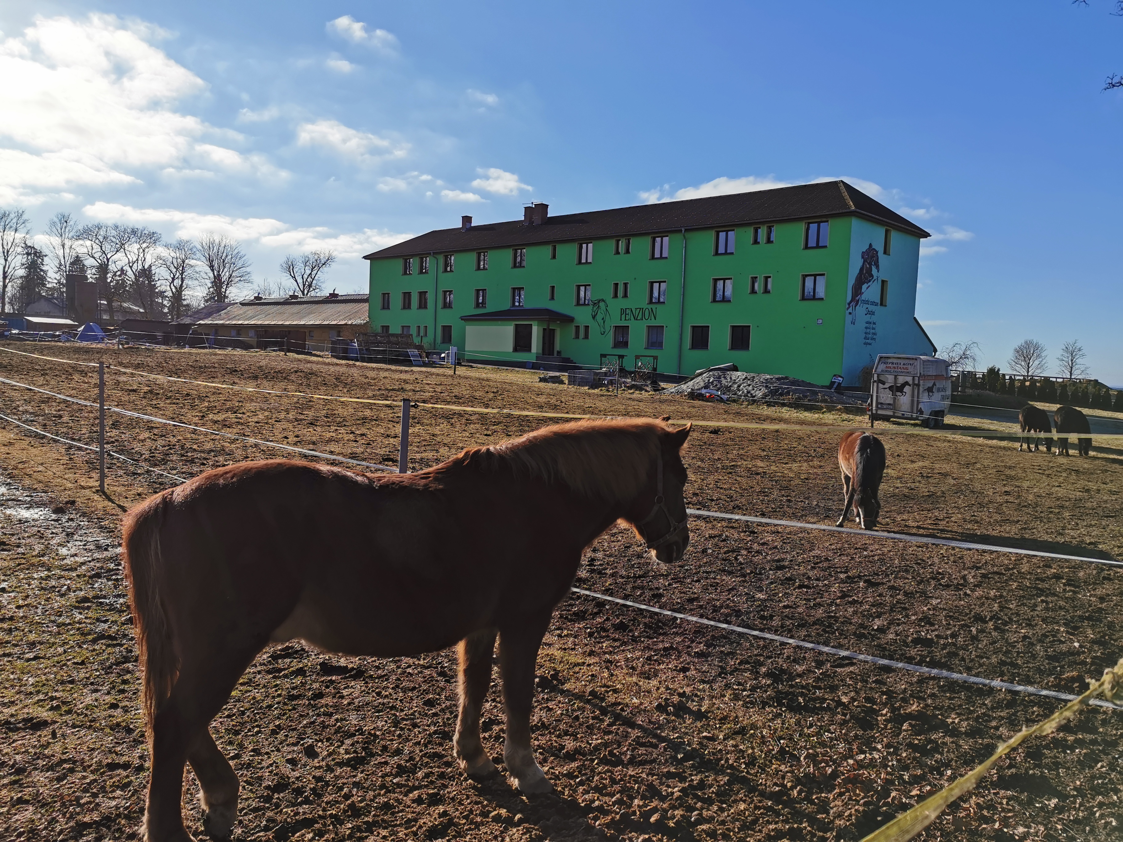 JS Kočík - Jezdecký klub foto 2