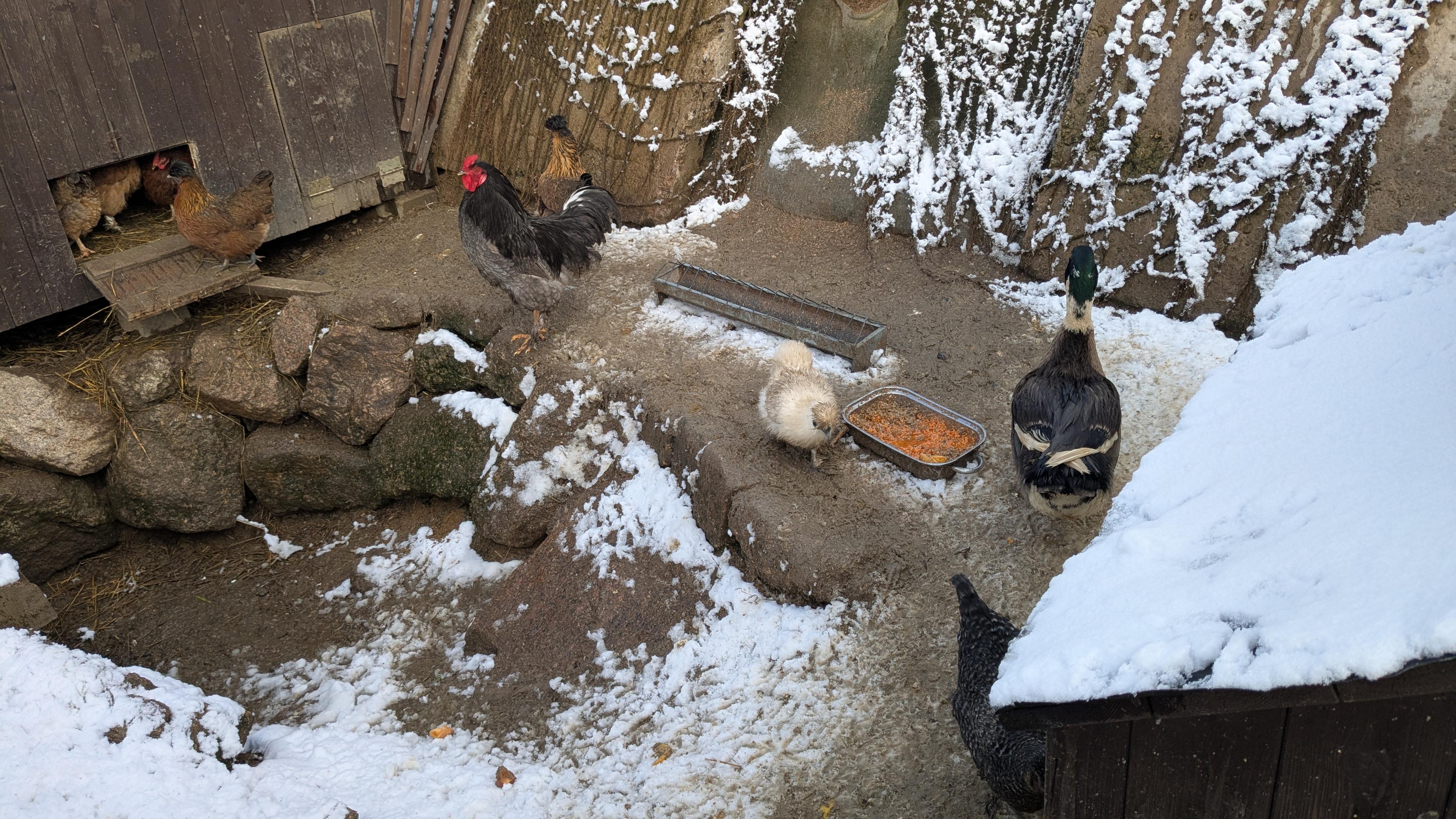 Farma Severák foto 2