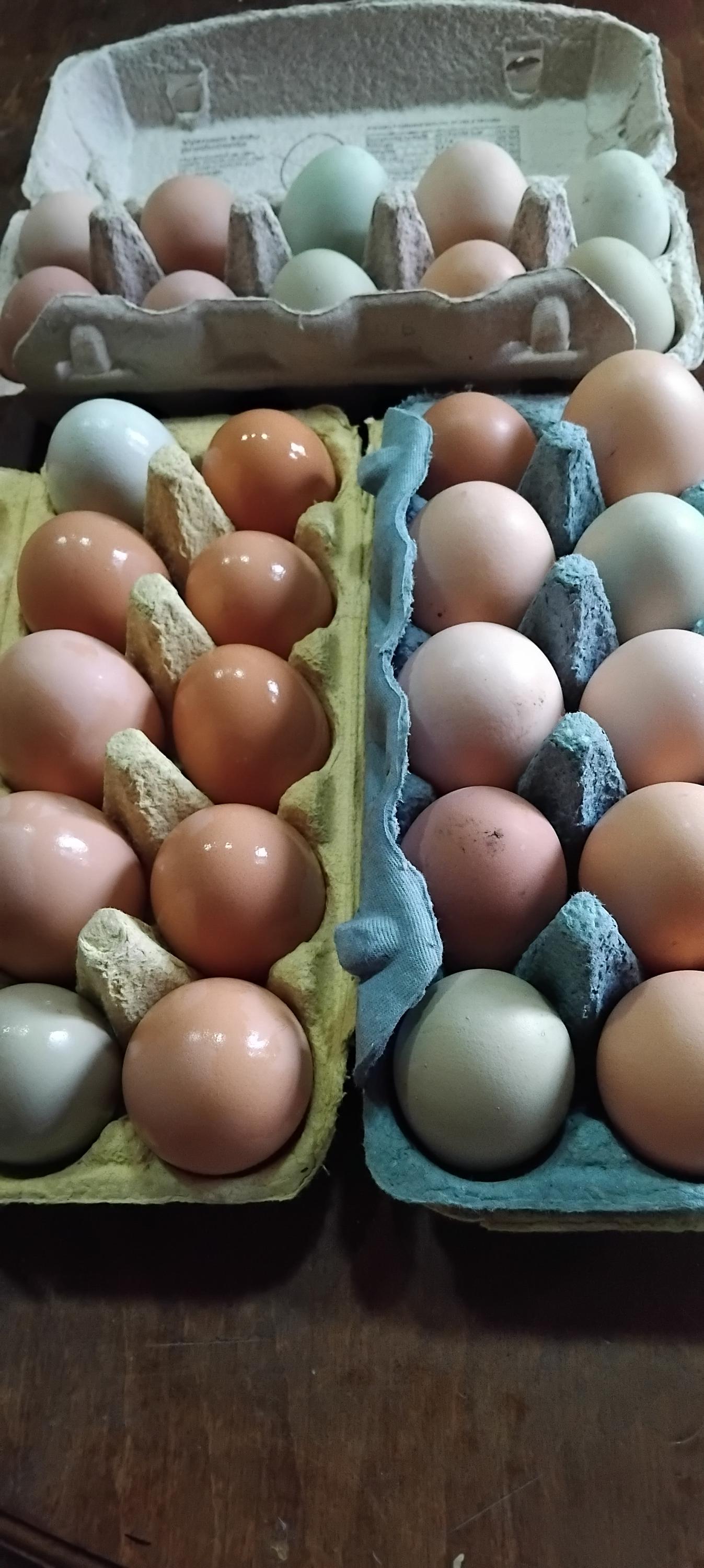 Malá farma Zdenka Novotná foto 2