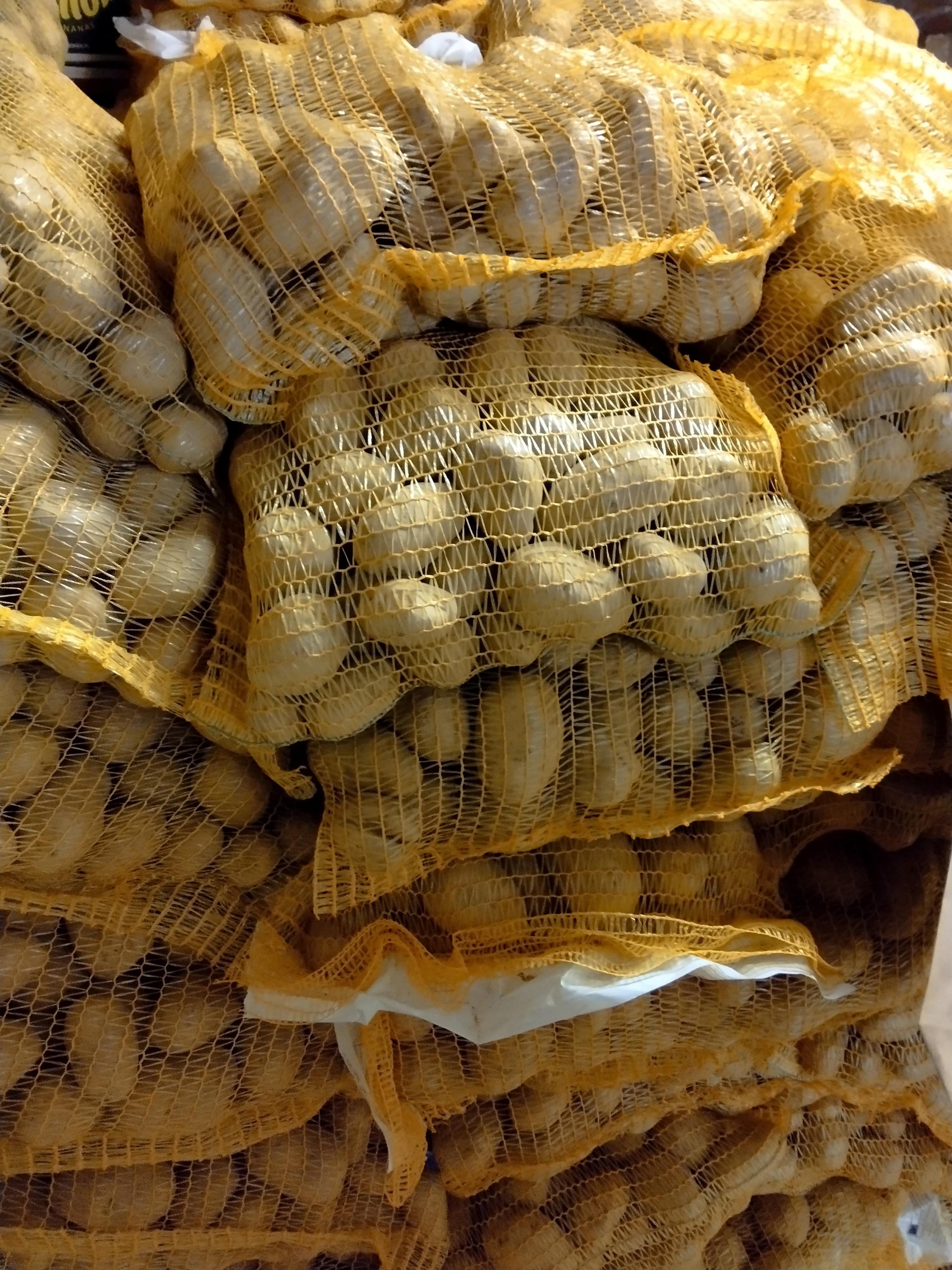 Zahrádkářské potřeby Kroměříž foto 4