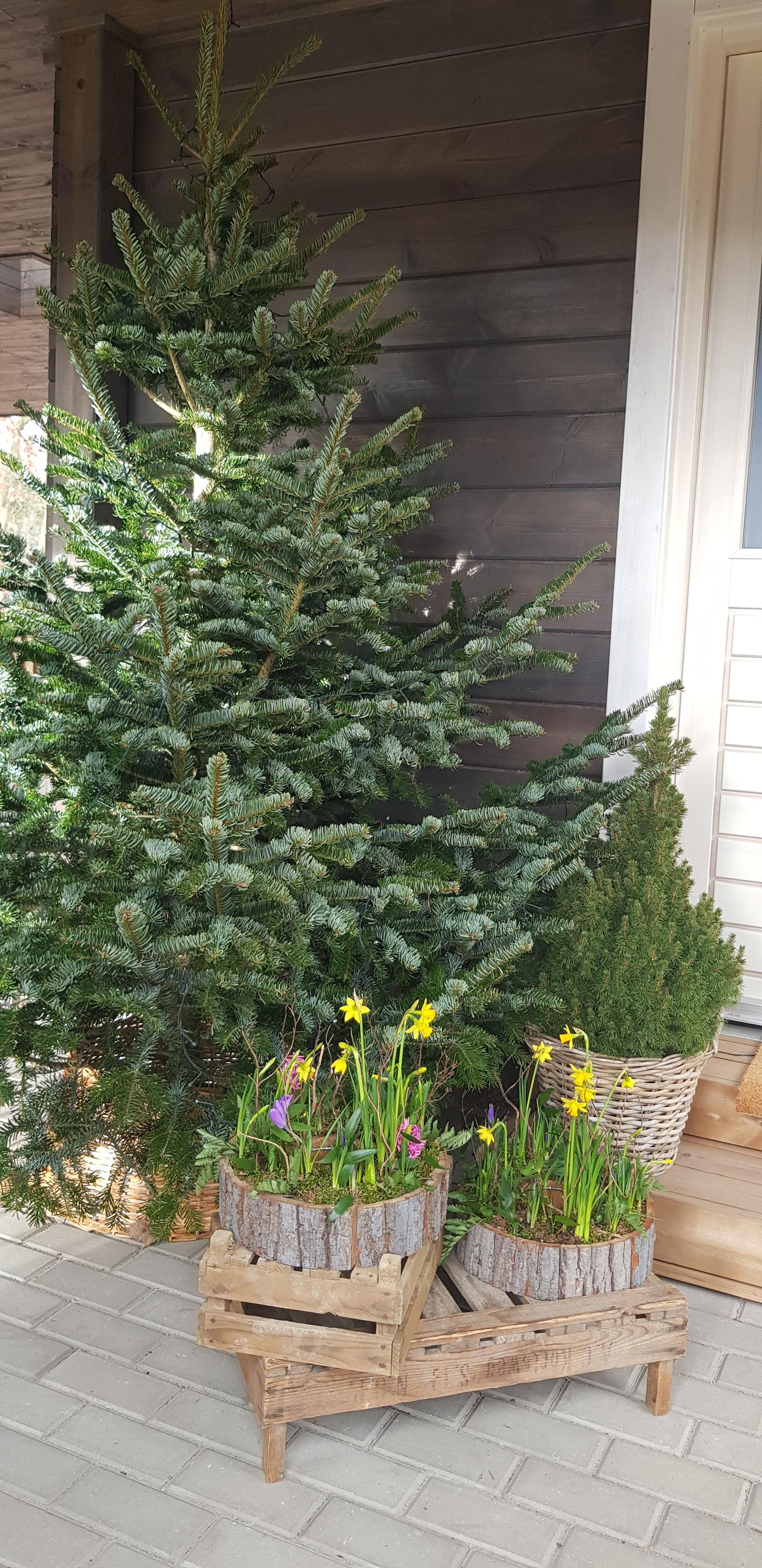 Ateliér Mechovka foto 2