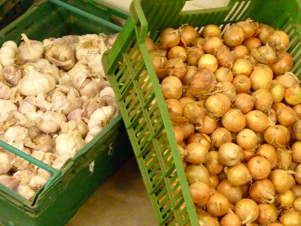 Prodej Jablek Jezernice (jablka jezernice, jablek jezernice, jezernice jsou) Prodej Jablek Jezernice