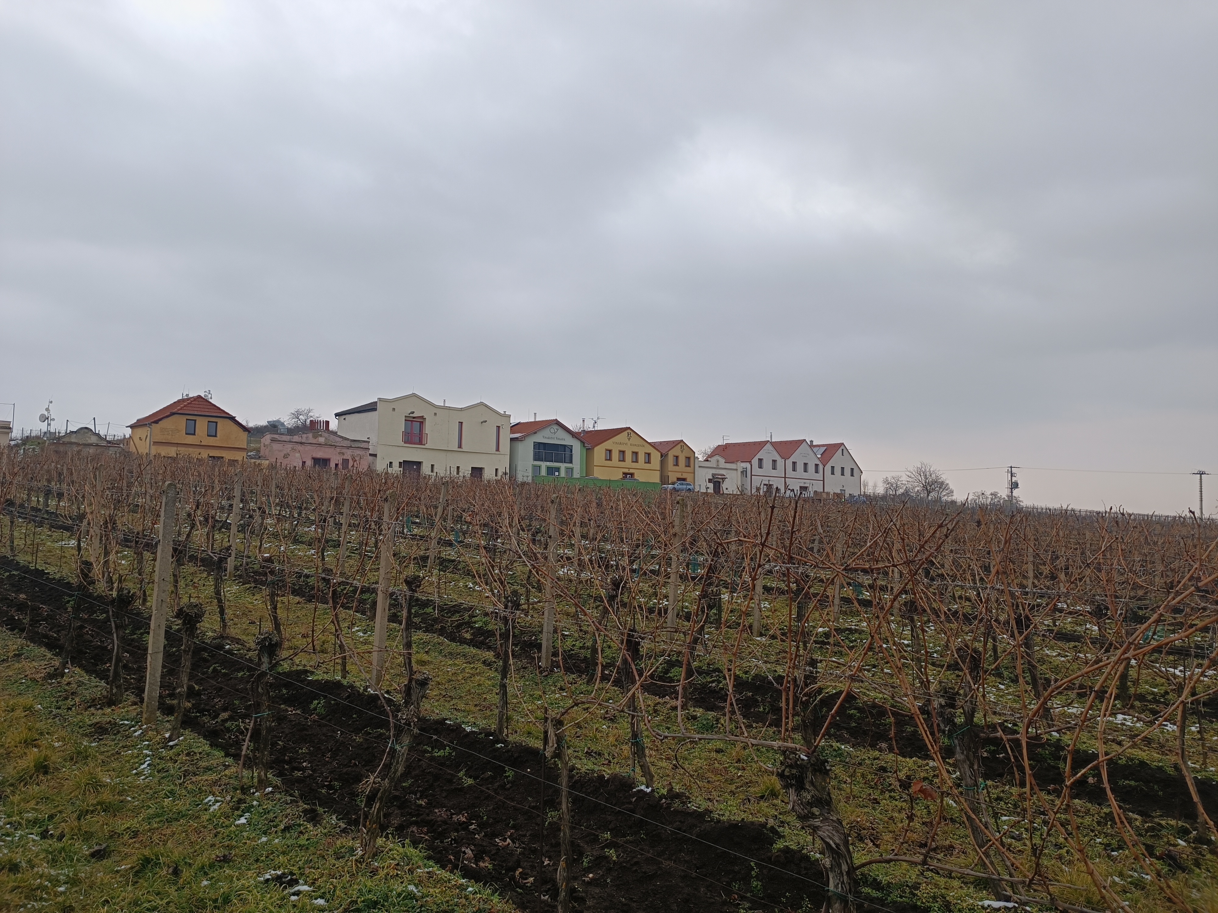 Archivní sklep Vinařství Volařík foto 5