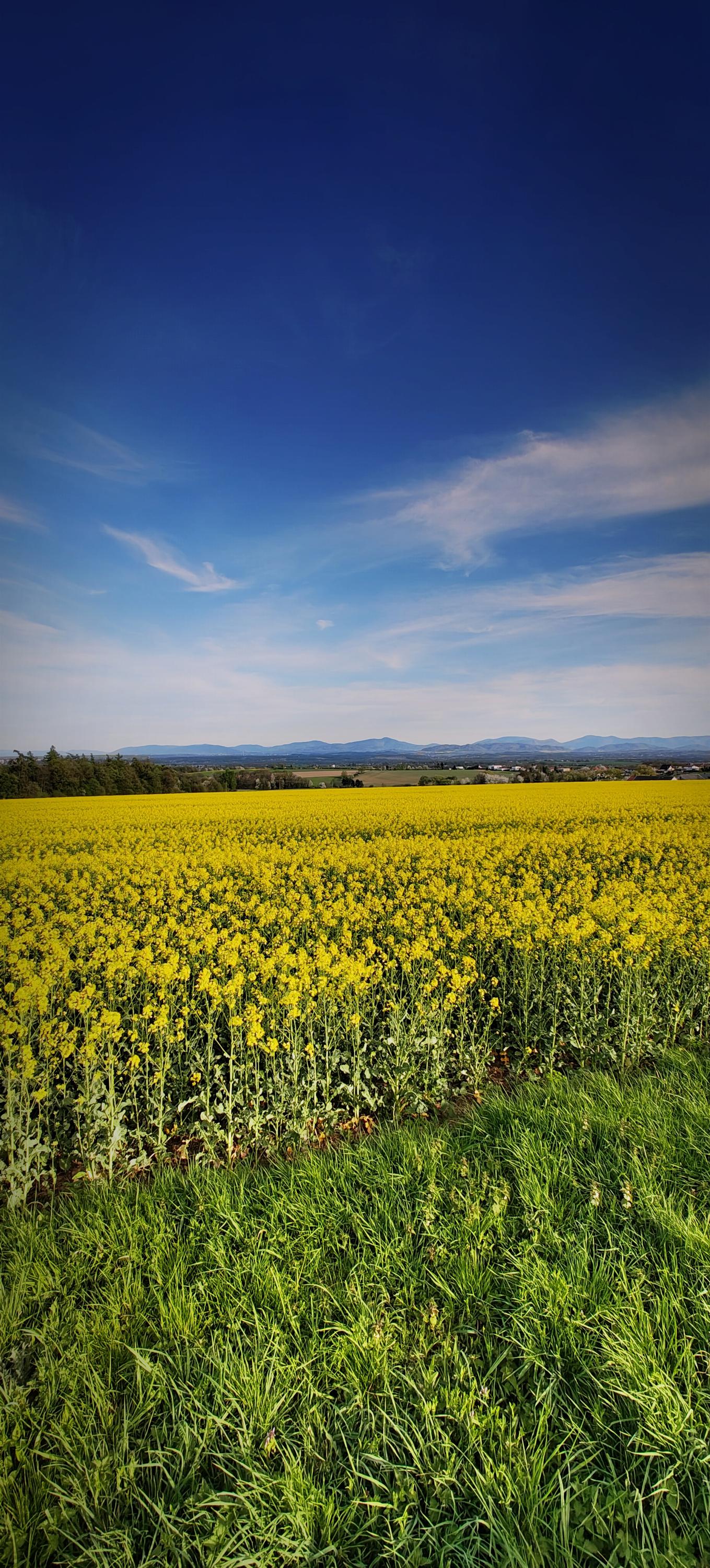 Sanatoria Klimkovice foto 5