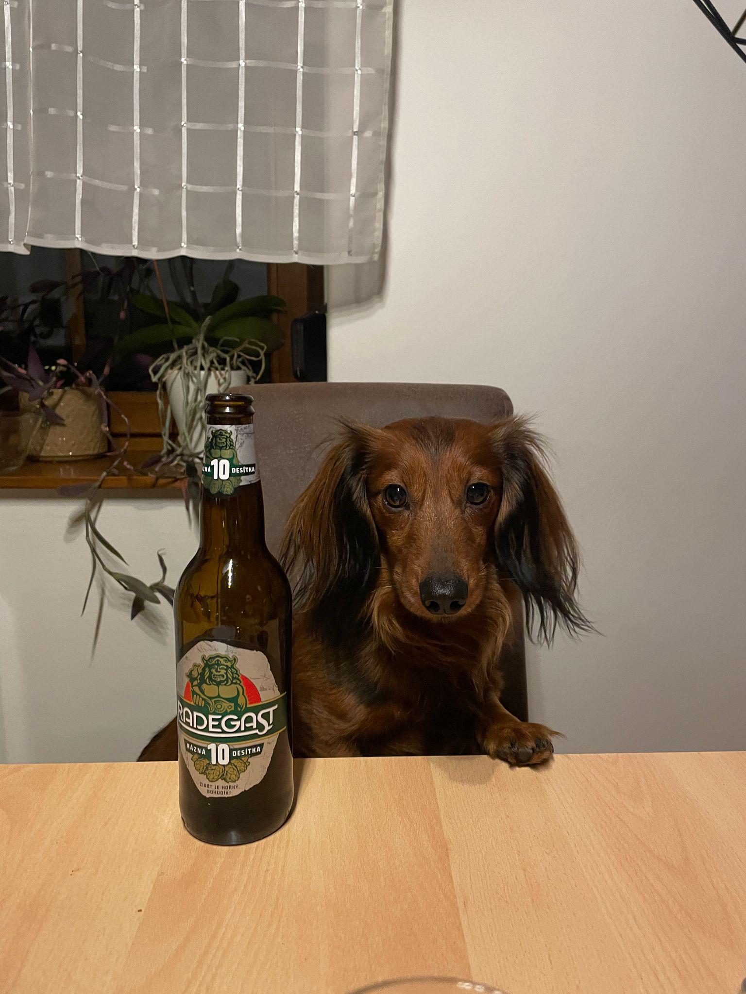 Pivovar Radegast foto 6