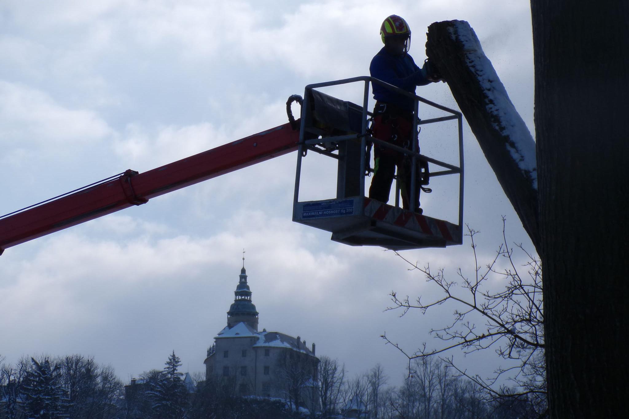 Rizikové kácení a prořezy stromů
