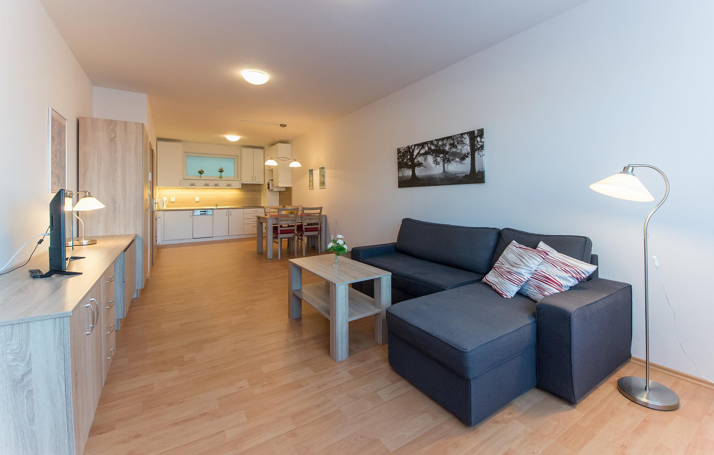 Apartmán U Lázní D22 foto 5