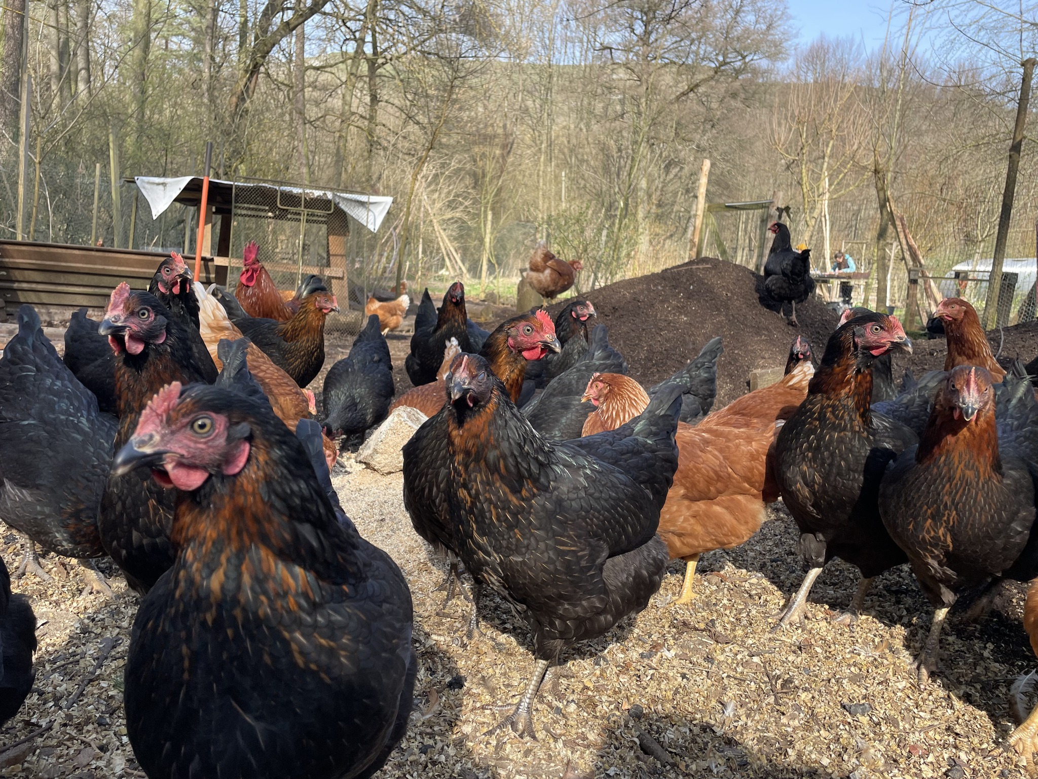 Prokopská farma foto 2