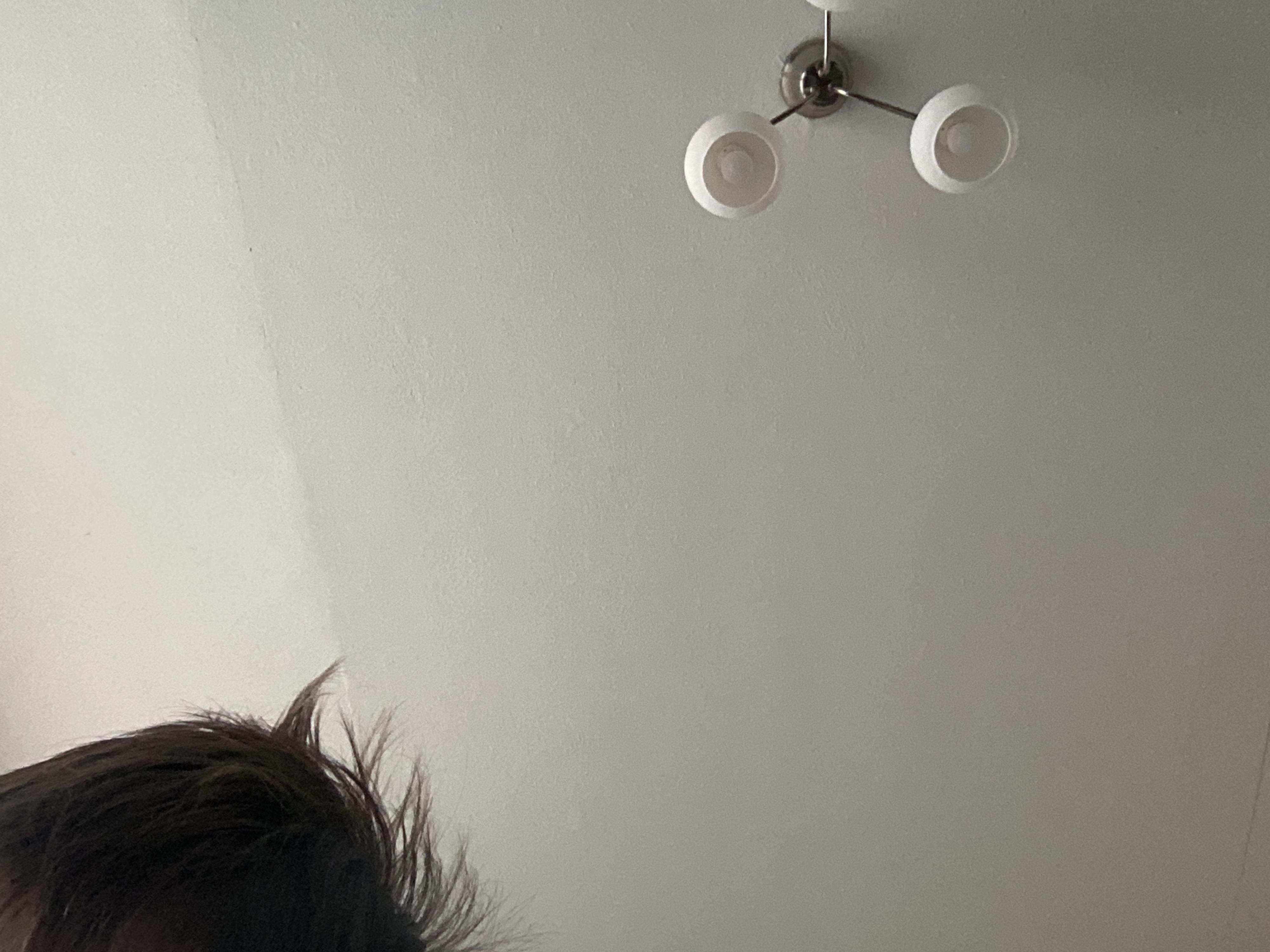 MŠ speciální, ZŠ speciální a Praktická škola Elpis Brno foto 2