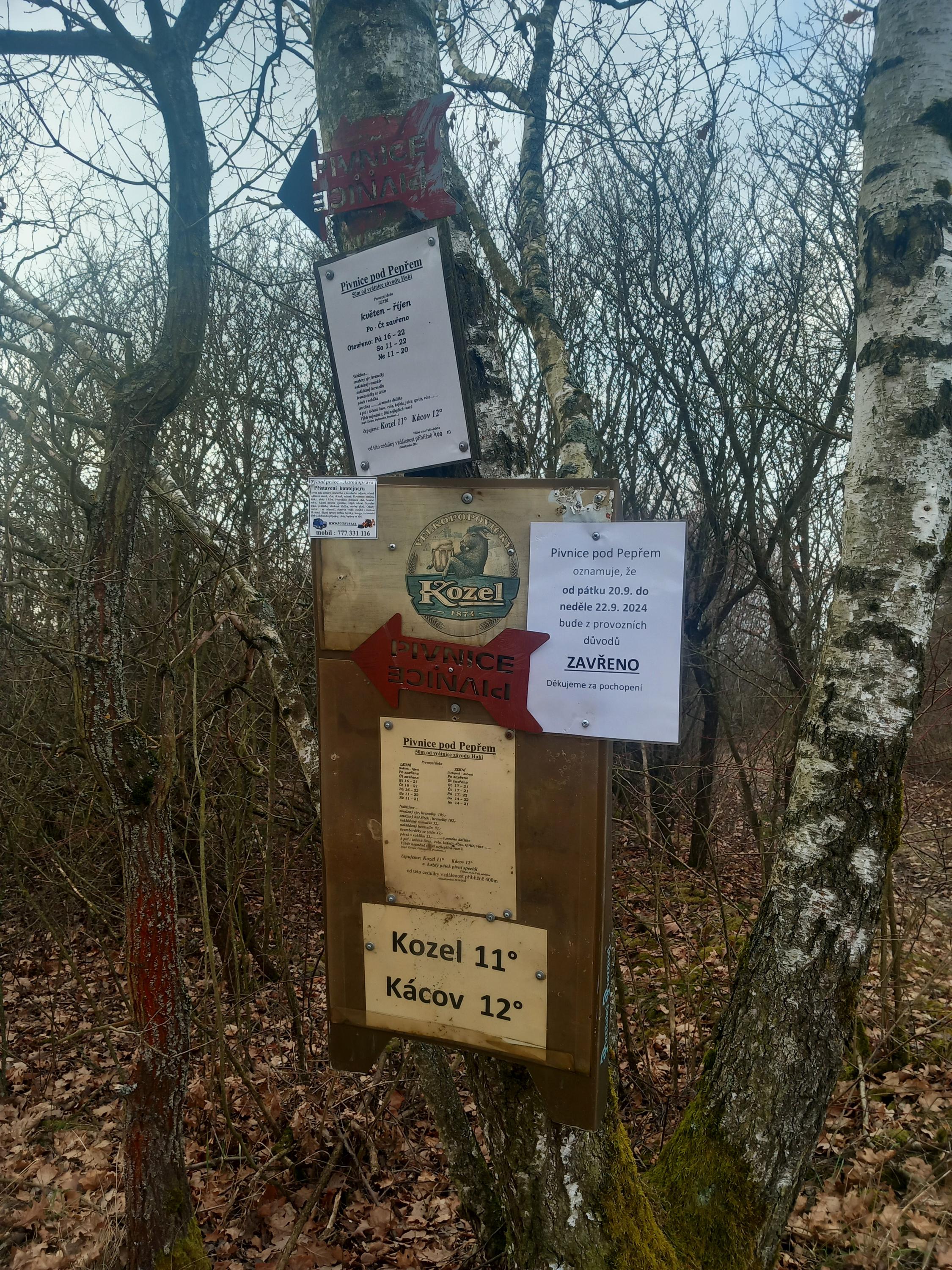 Pivnice pod Pepřem - U Loužáka foto 4