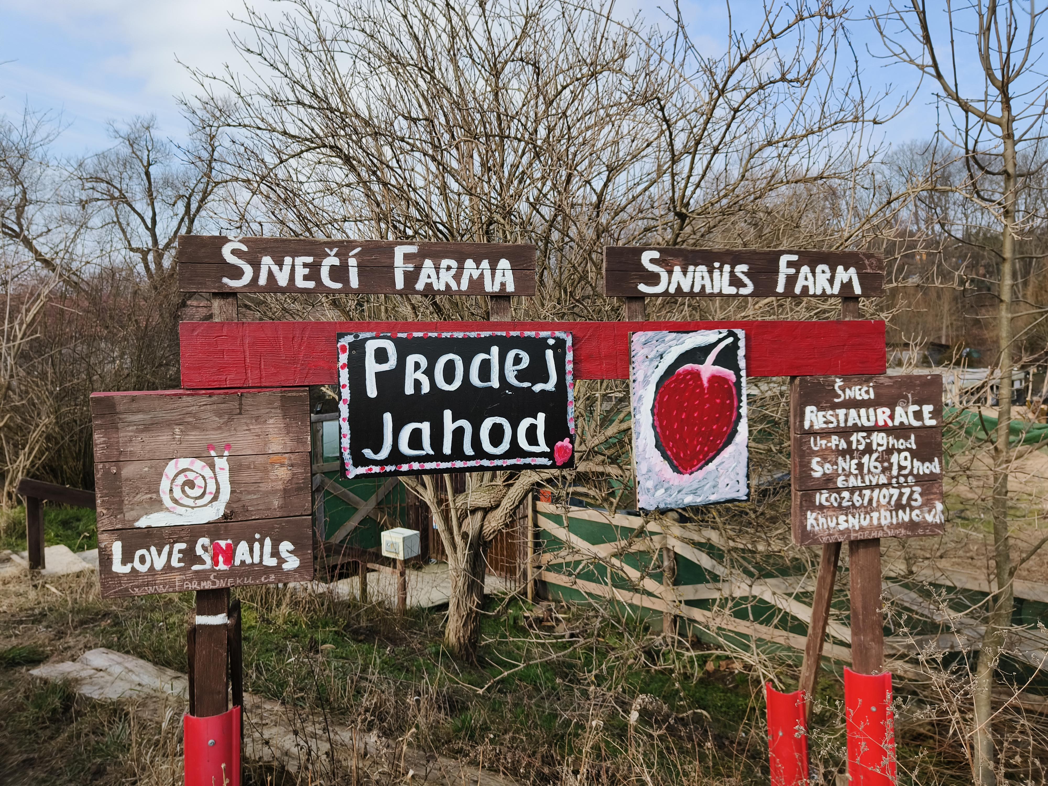 Šnečí farma foto 6