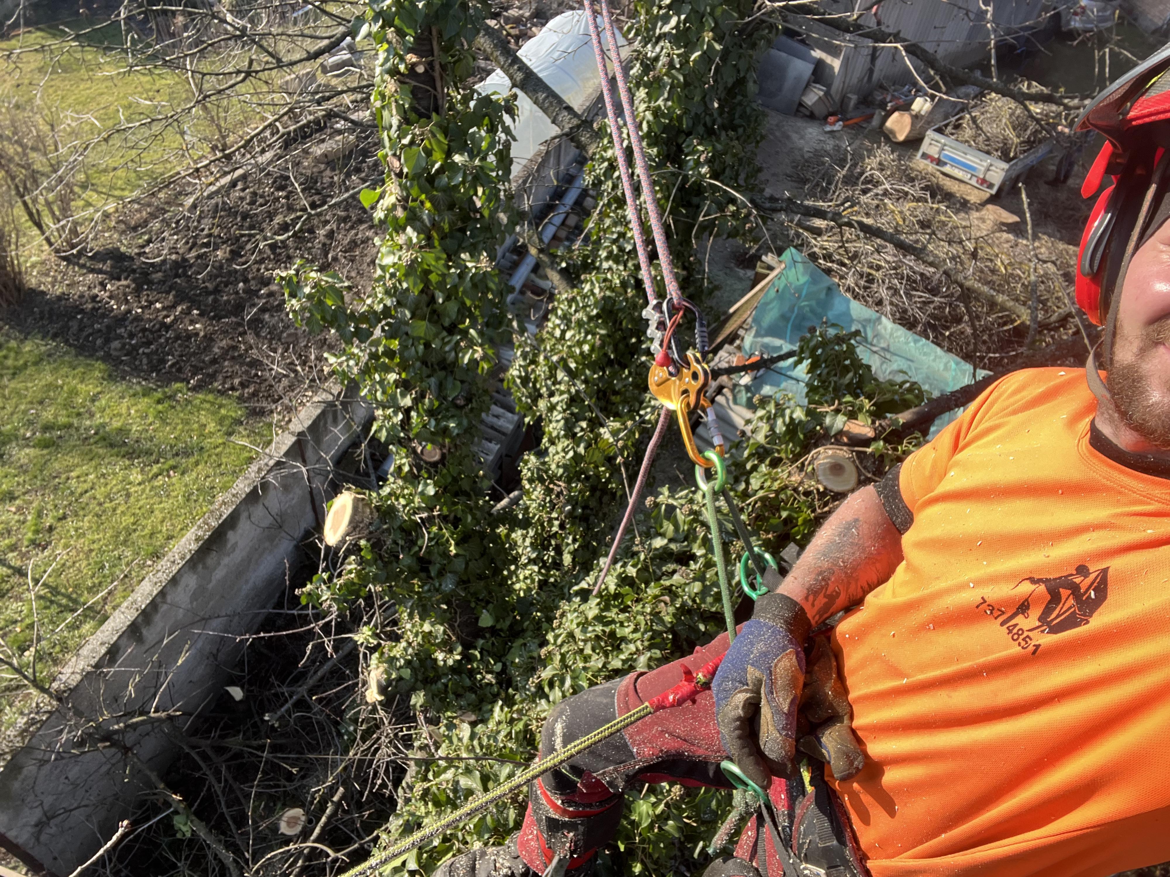 Jakub Štěpaník - Rizikové kácení stromů a stavební práce foto 3