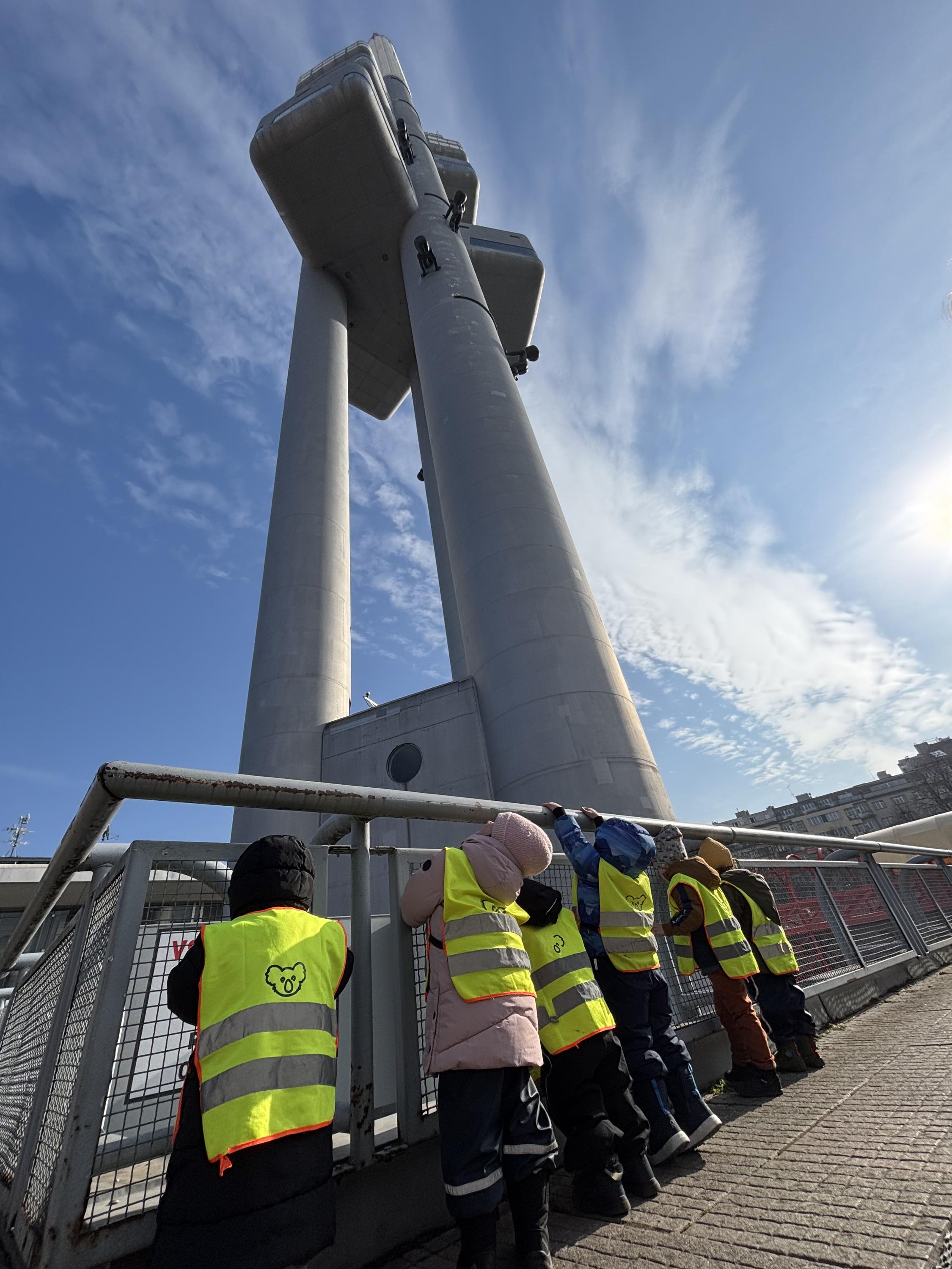 Koala - školka a dětské centrum foto 5