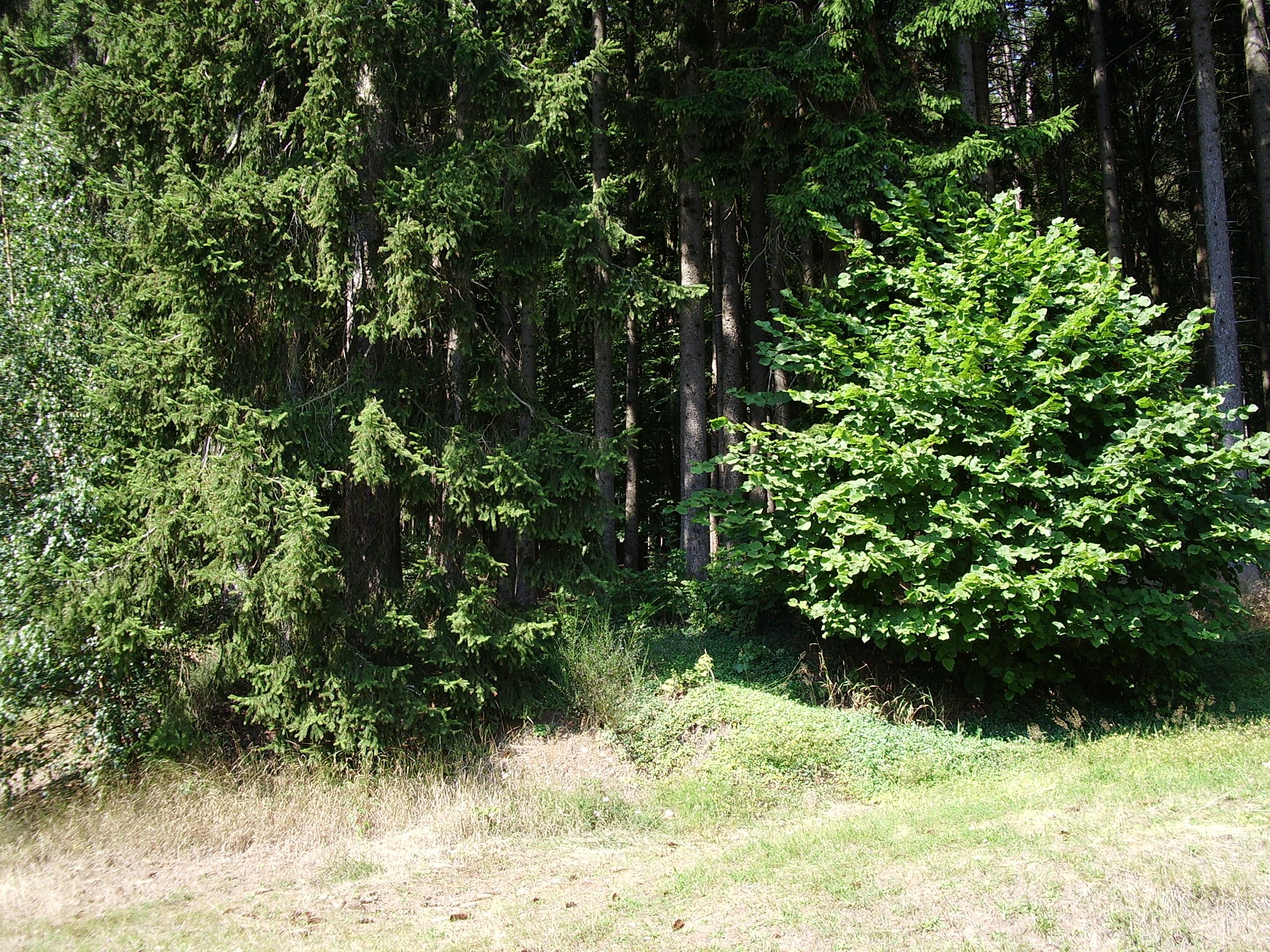 Tábor Pivoň foto 5