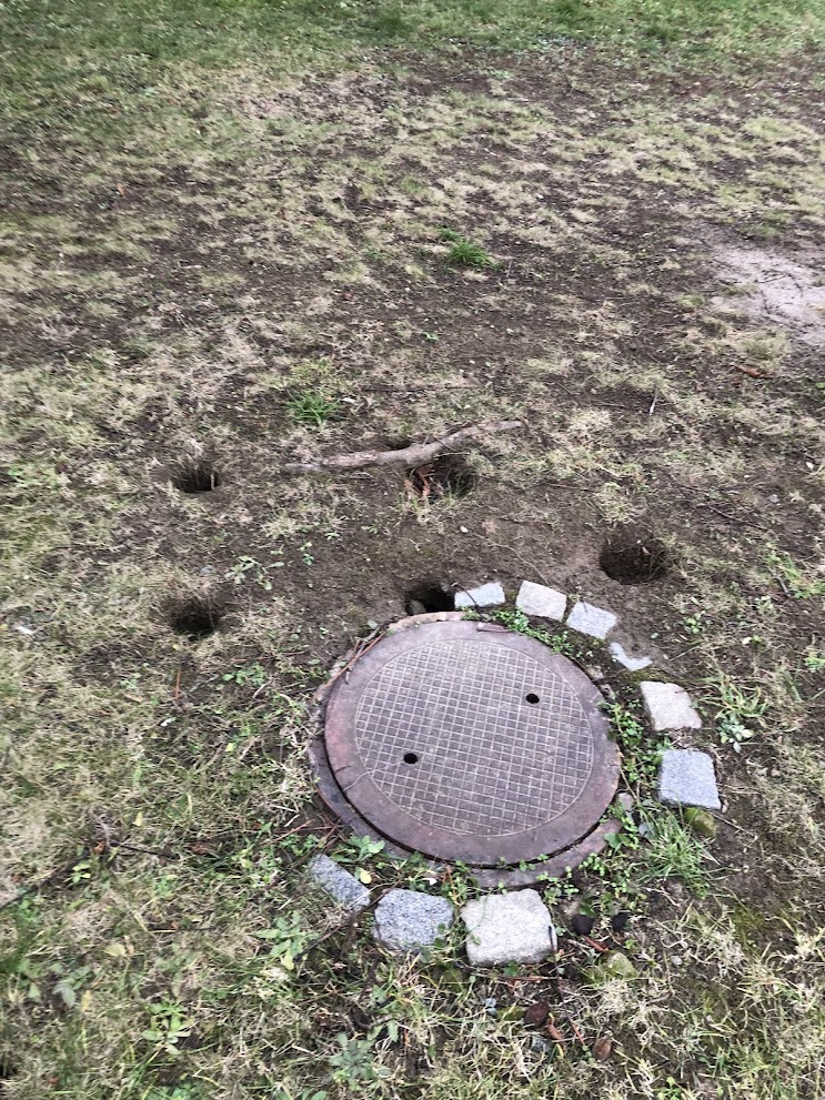 Deratizace NoPest / DDD služby Kučera foto 4