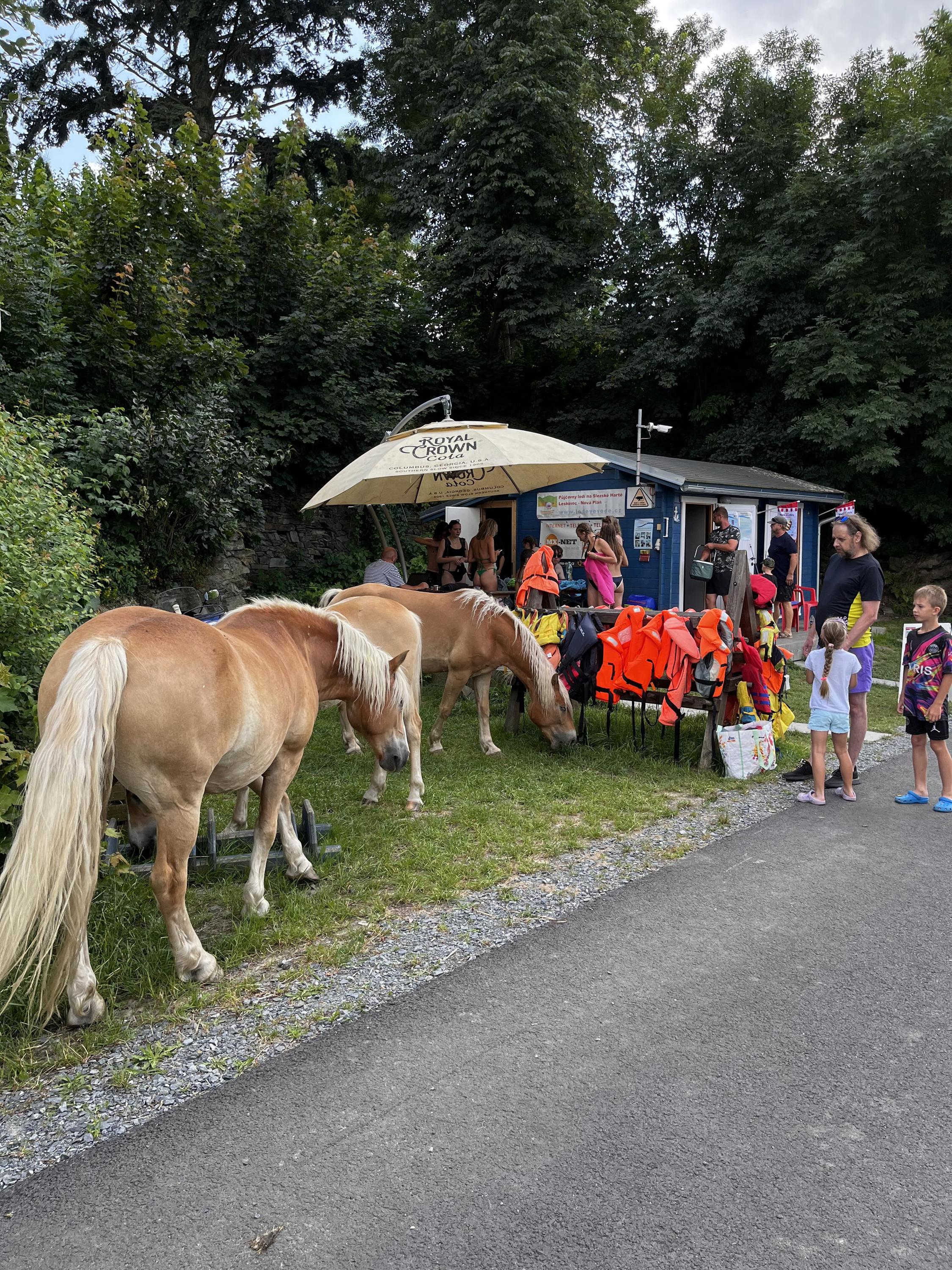 Půjčovna lodiček Slezská Harta - Leskovec nad Moravicí foto 5