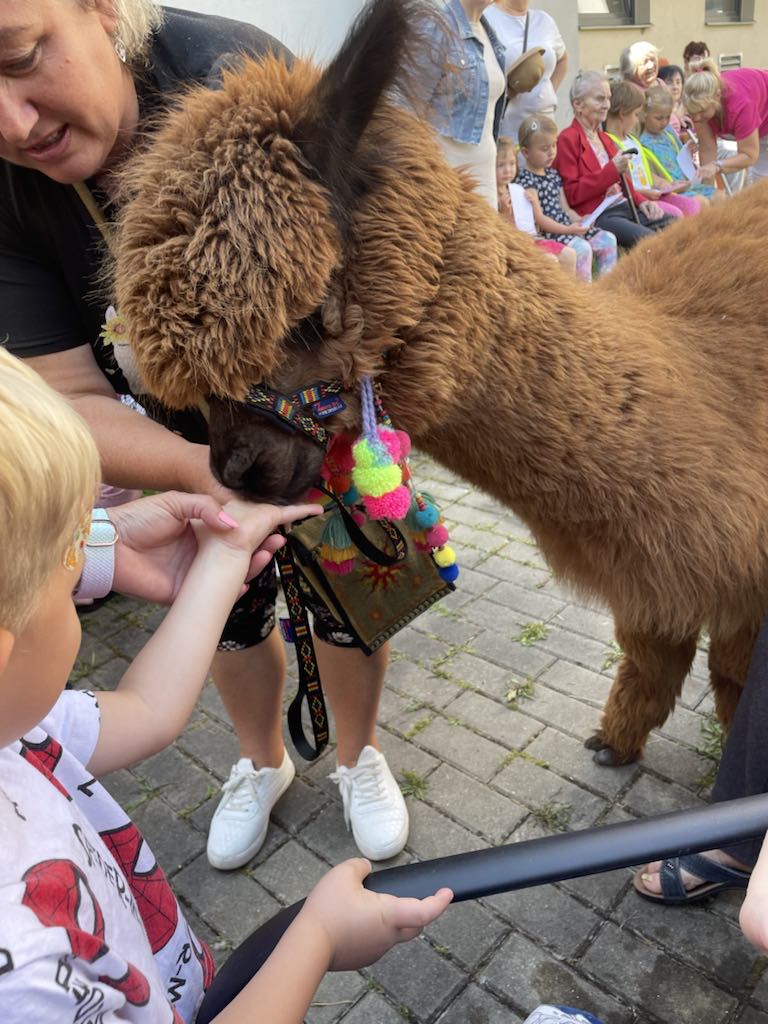 VlnoLamy.cz foto 2