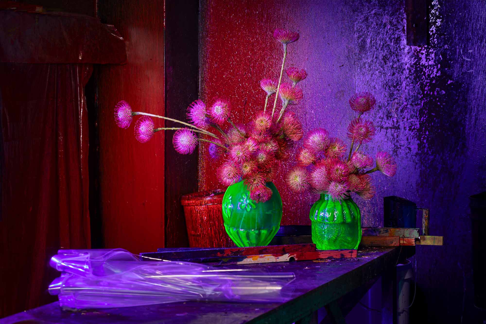 Anna Pleslová Photography foto 2