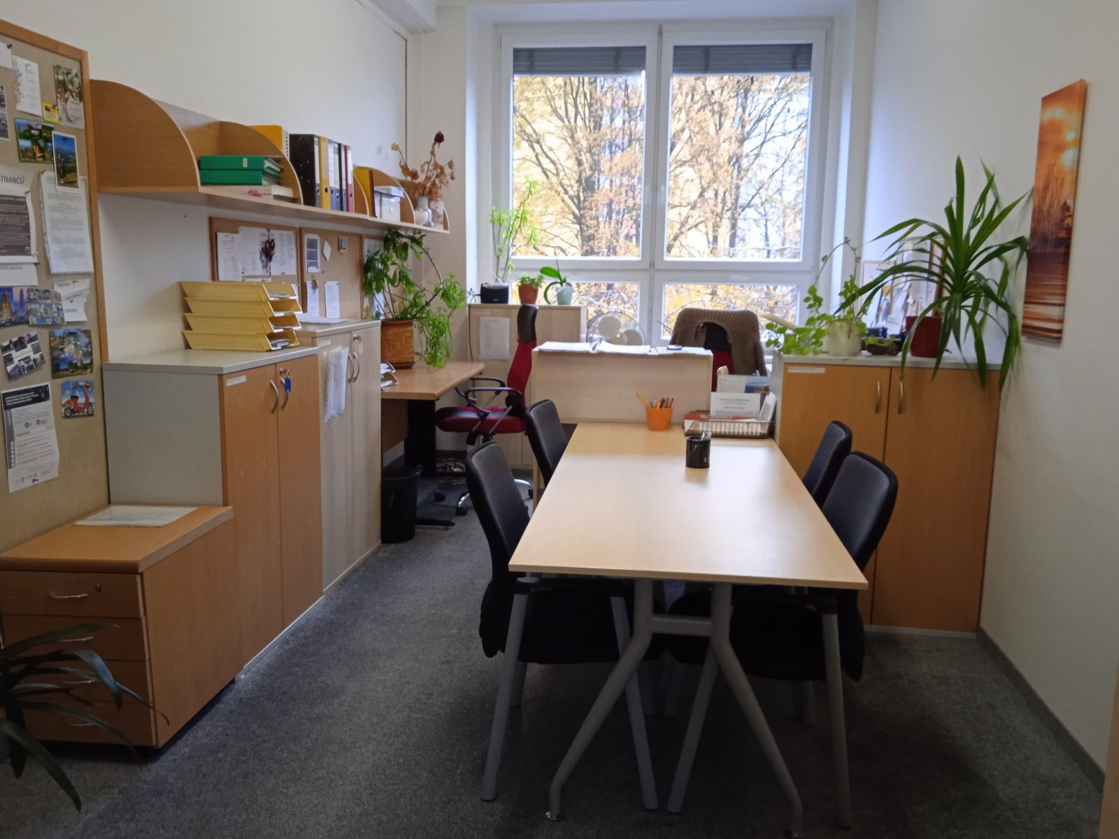 Poradna pro rodinu Pardubického kraje foto 5