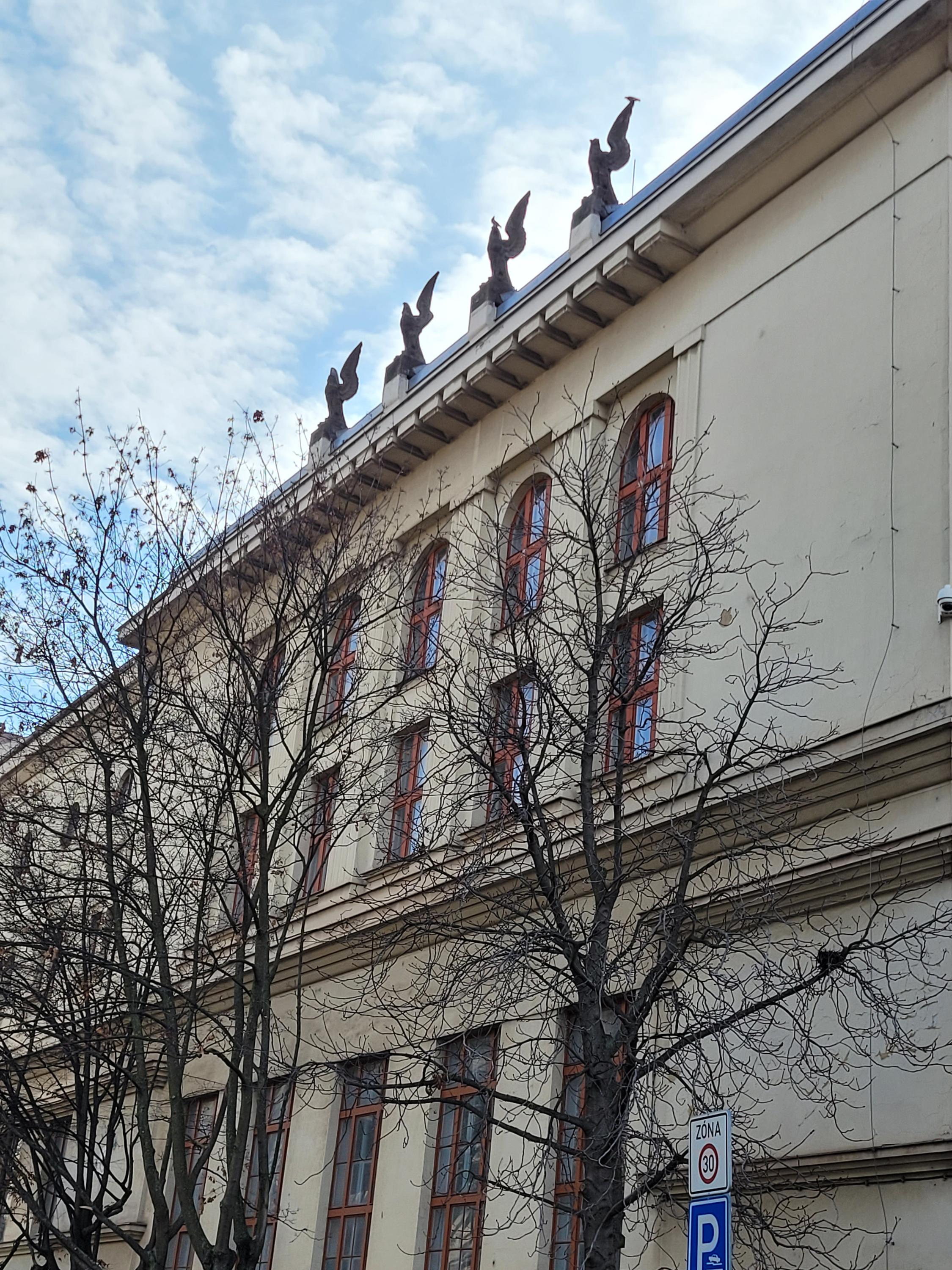 Tělocvičná jednota Sokol Bubeneč foto 2