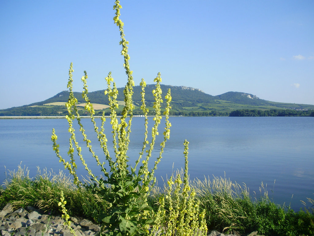 Penzion Moravský statek foto 2