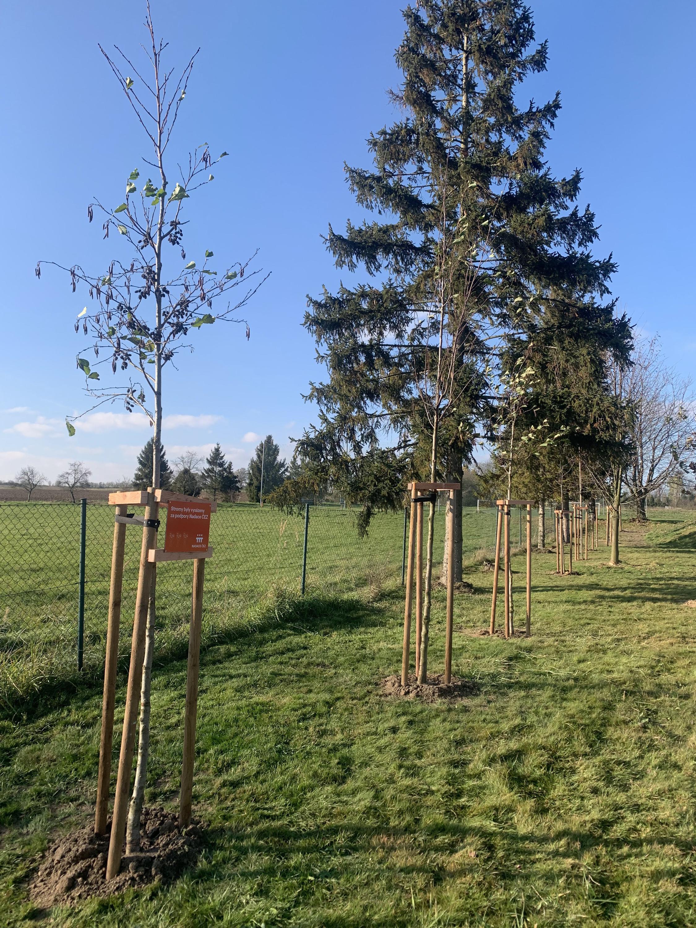 Základní škola a Mateřská škola Kujavy, okres Nový Jičín foto 2