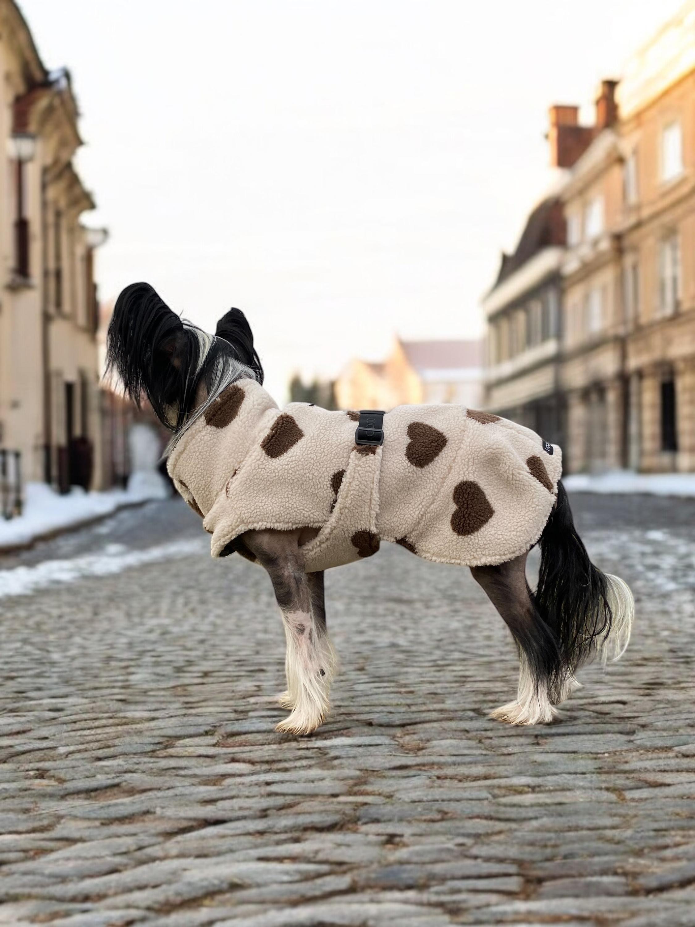 Dogofogo.cz foto 4
