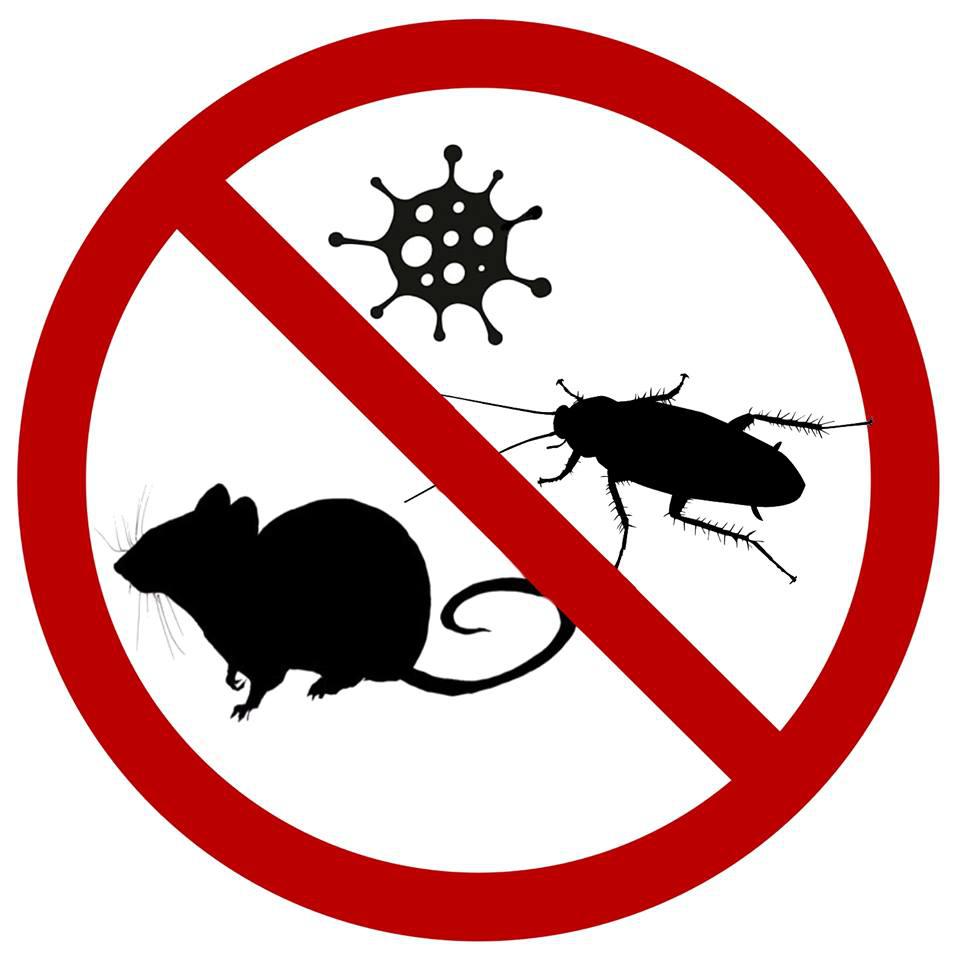 Dezinfekce Dezinsekce Deratizace foto 1