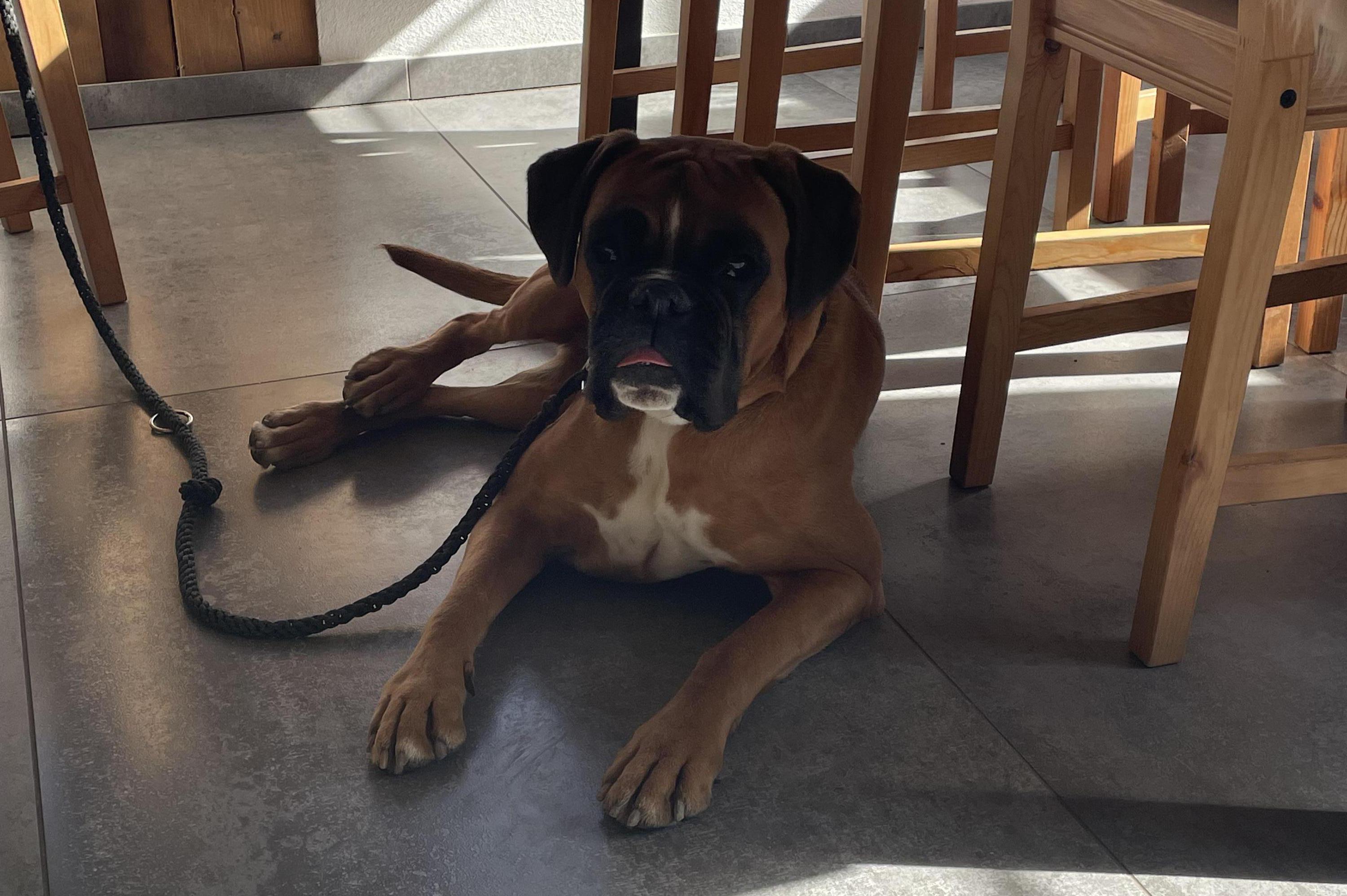 Příjemné občerstvení pro Vás i Vašeho mazlíčka