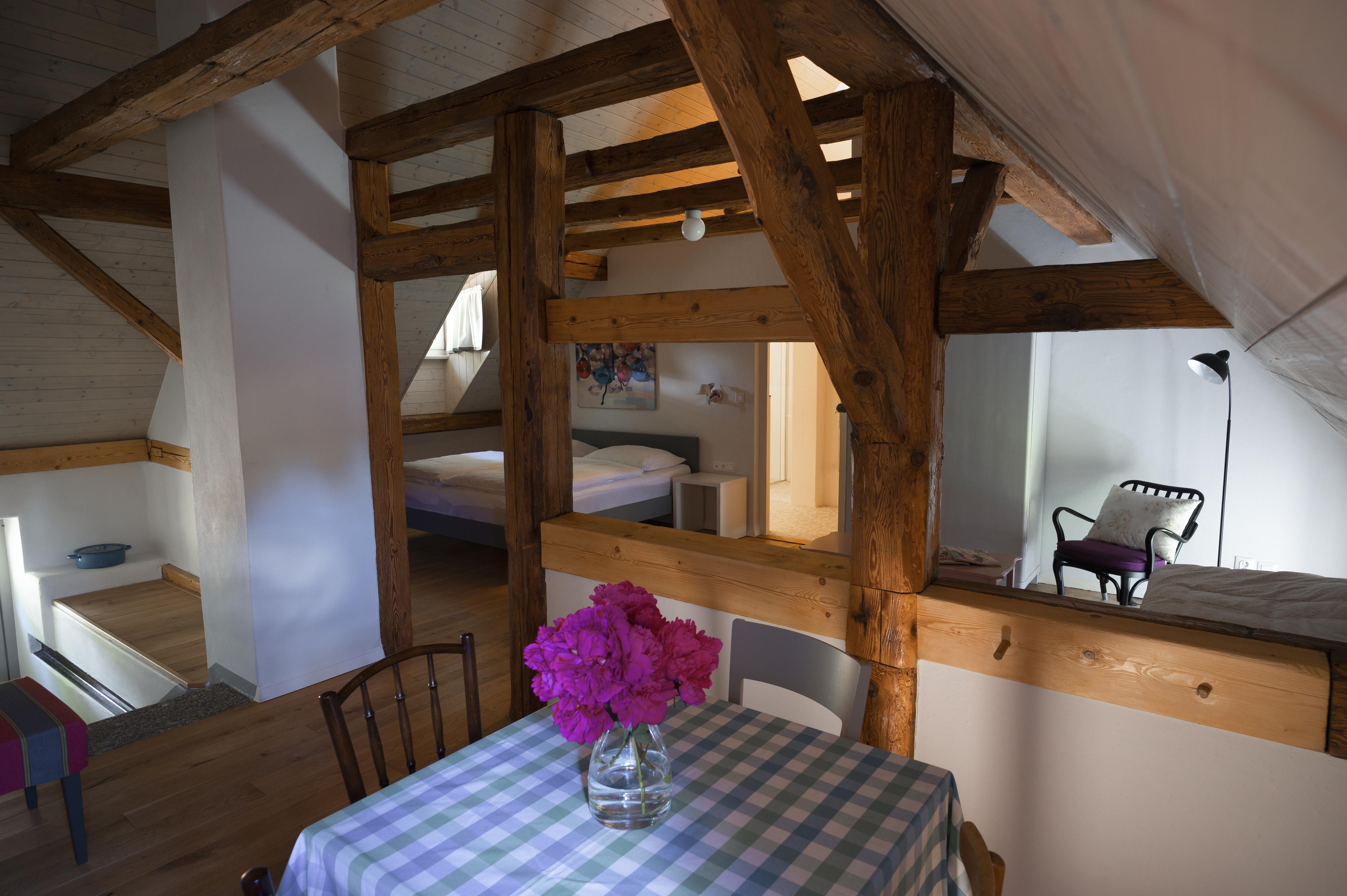 Mlýn Salajna foto 3