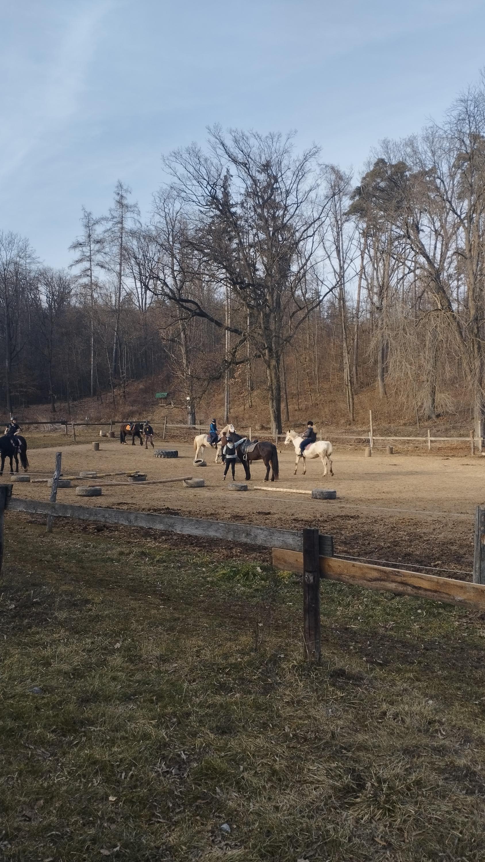 Jezdecká stáj Elvis – Kristýna Paulíková foto 3