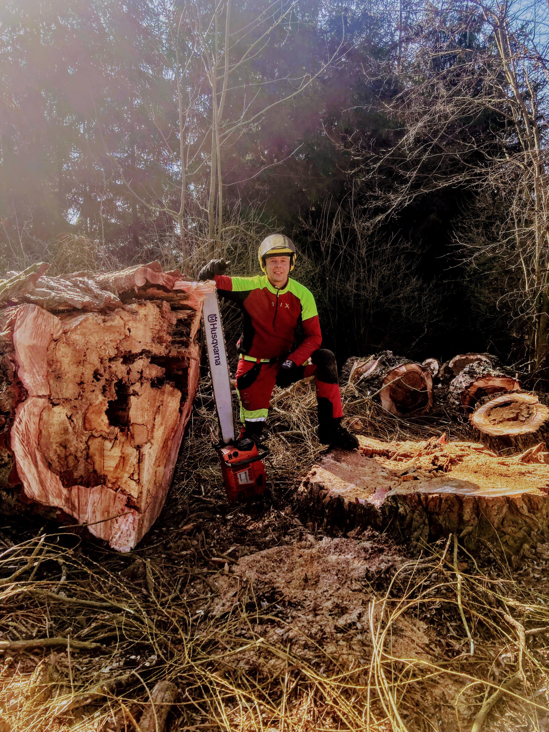 Bronislav Říčka - Rizikové kácení, údržba zeleně foto 5