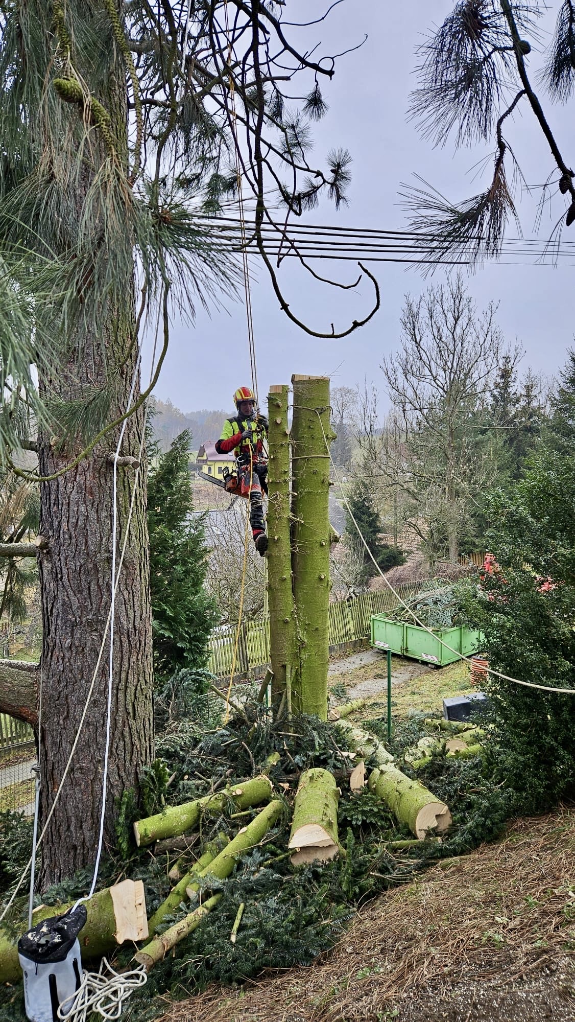 Lukáš Havelka - Rizikové kácení stromů foto 6