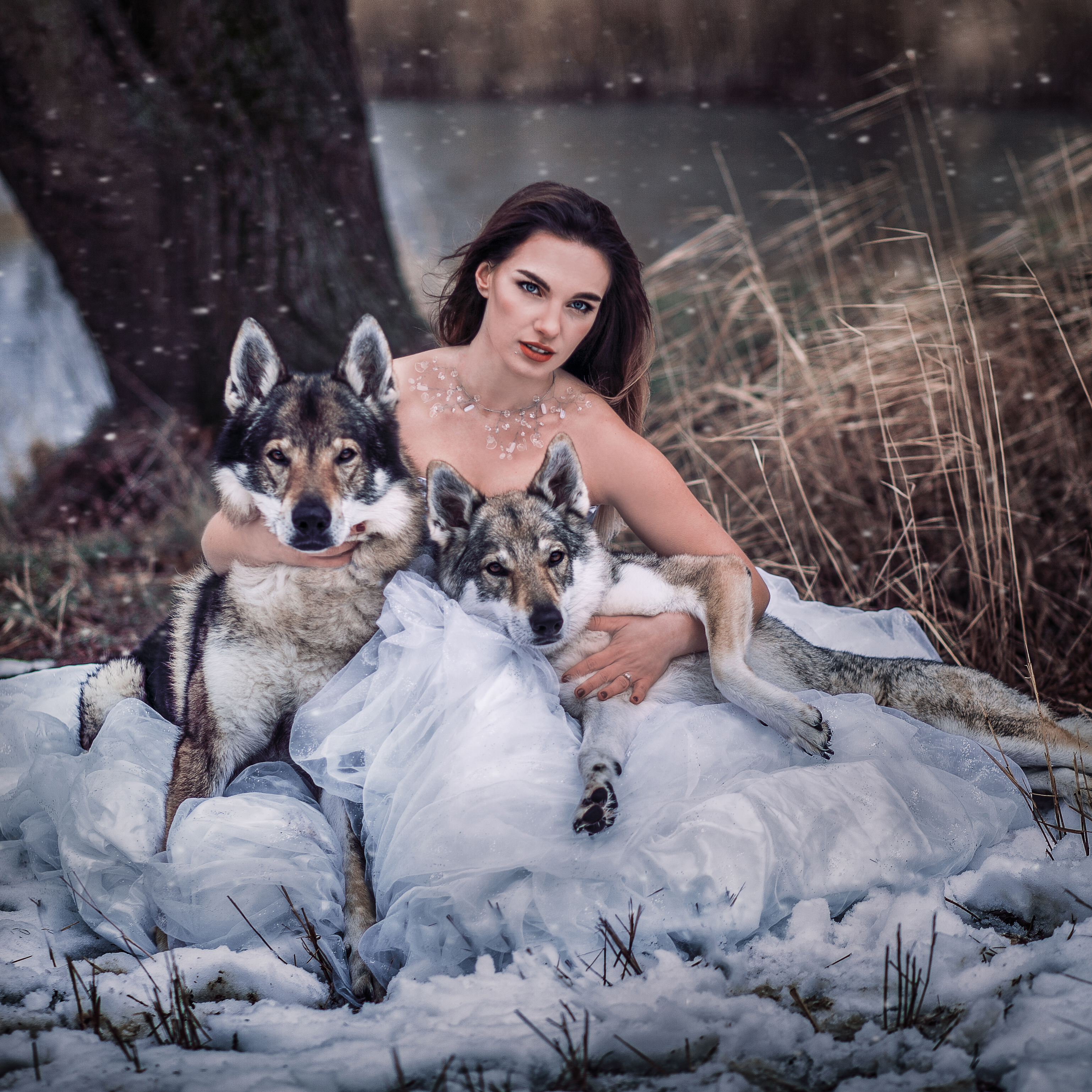 Tematické focení s vlky