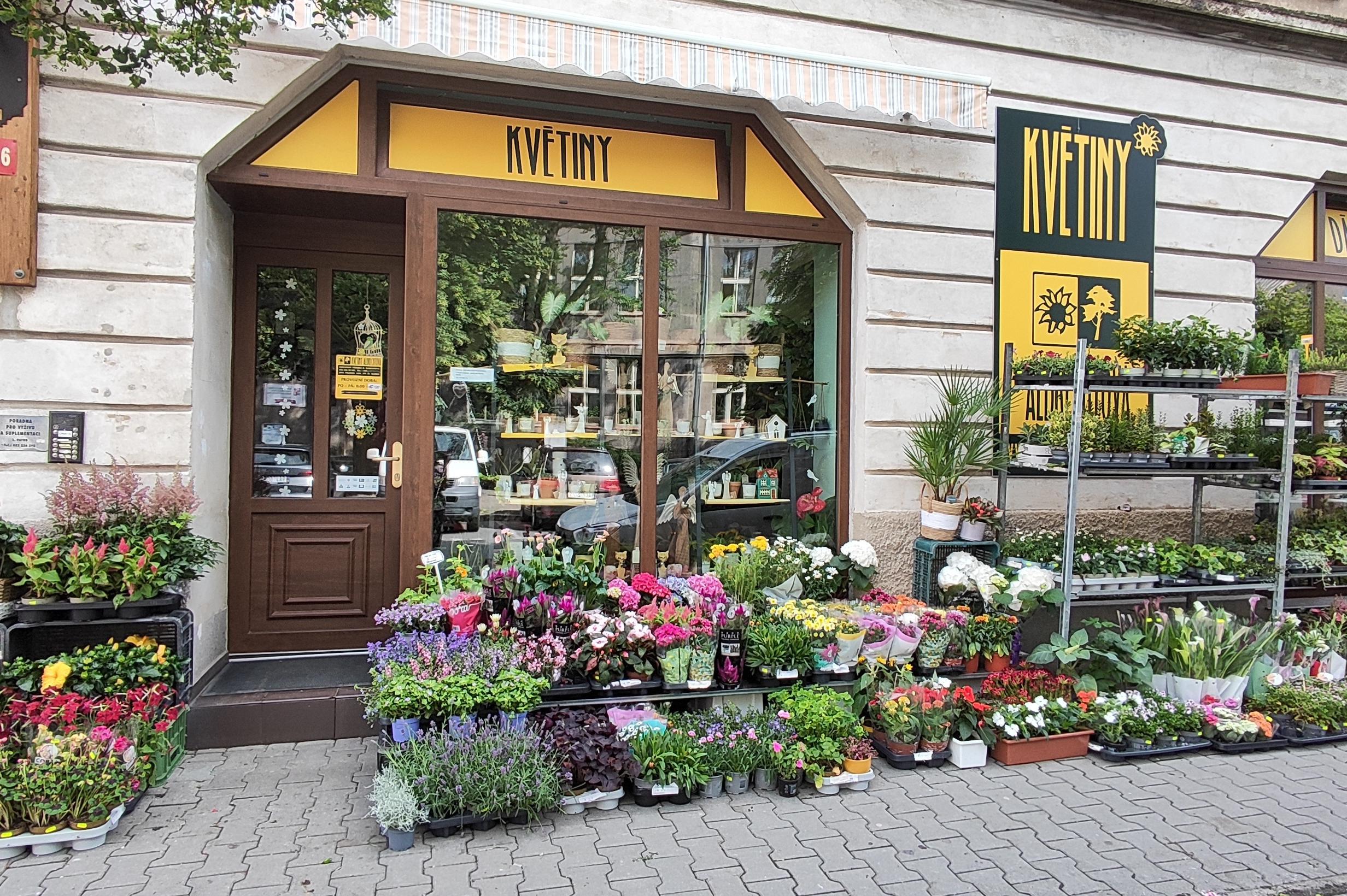 KVĚTINY ALBRECHTOVÁ