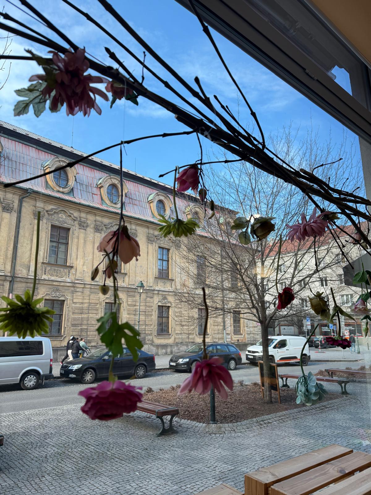 FROS - Drogerie Klemens foto 3